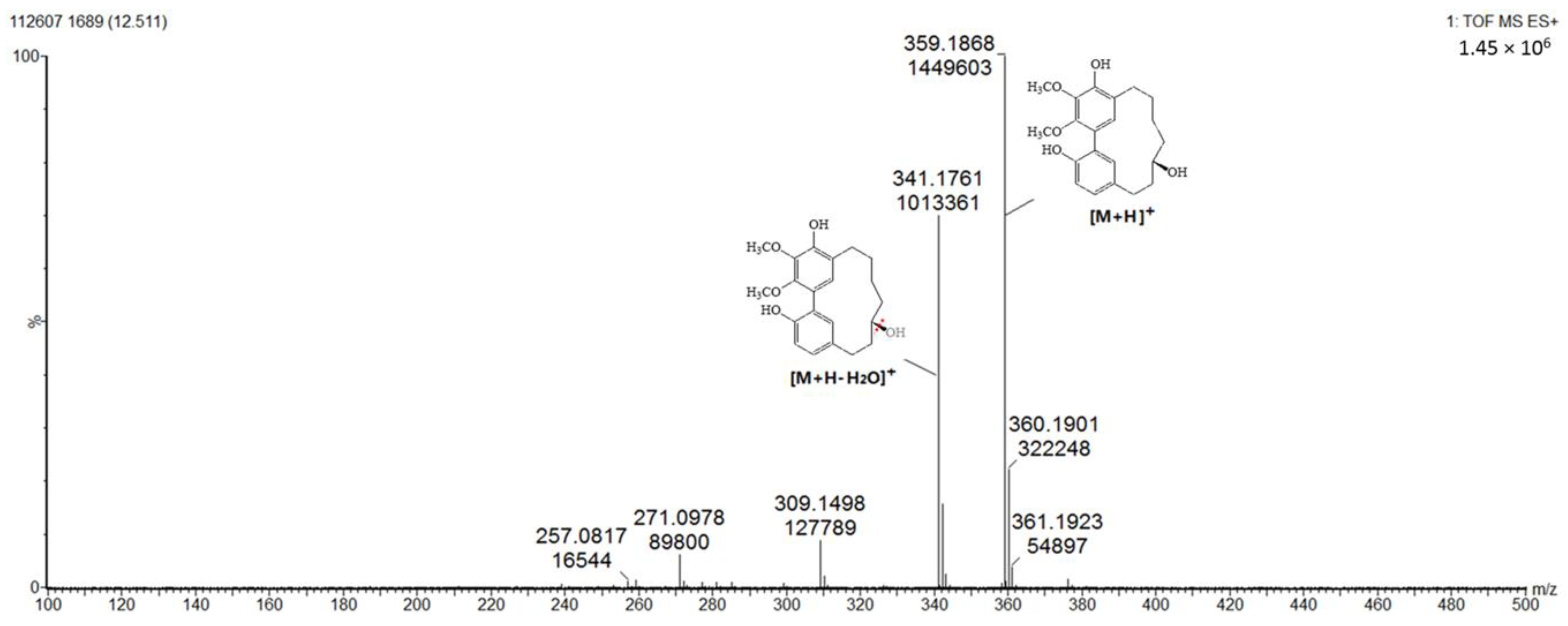 Molecules 24 02993 g007 Molecules 24 02993 g007