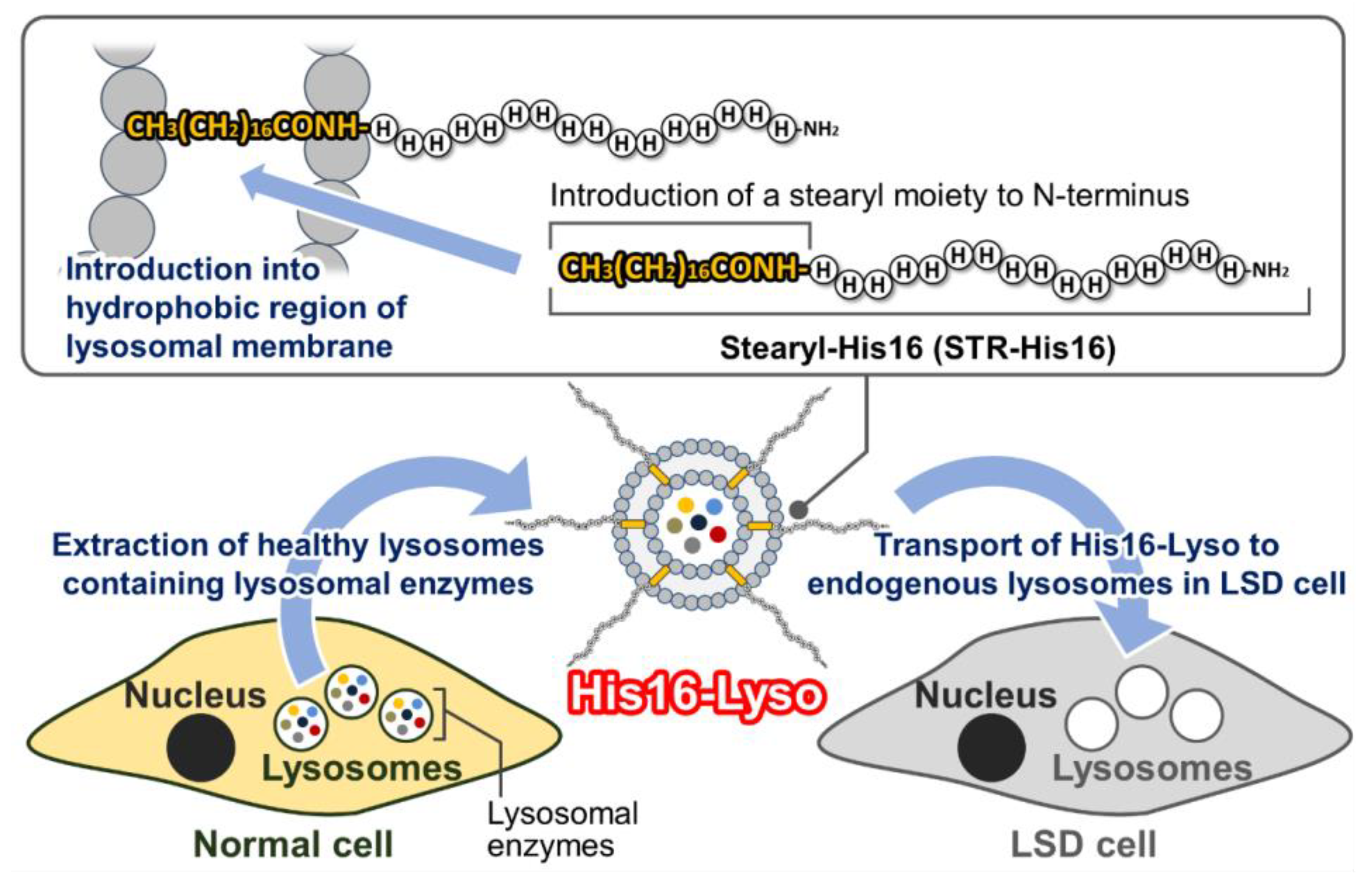Molecules 24 02995 g001 Molecules 24 02995 g001