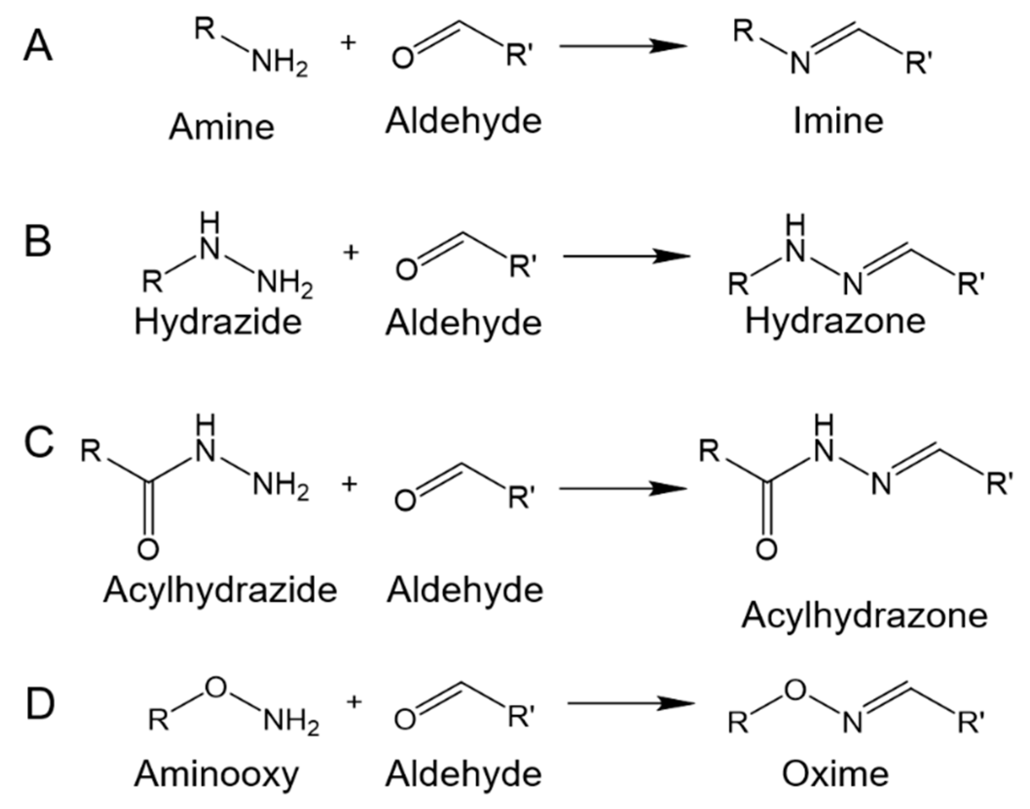 Molecules 24 03005 g003 Molecules 24 03005 g003