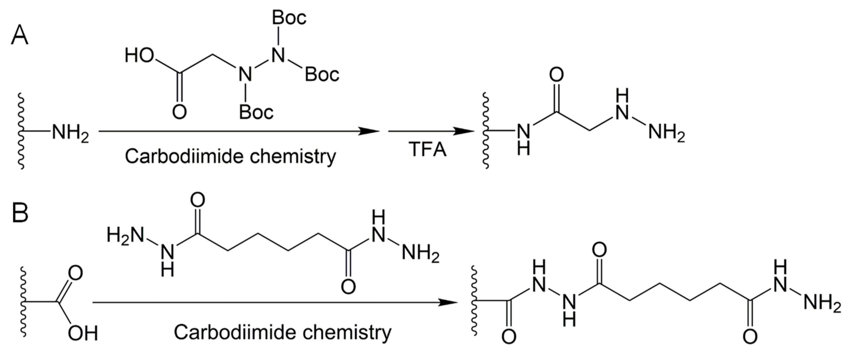 Molecules 24 03005 g004 Molecules 24 03005 g004