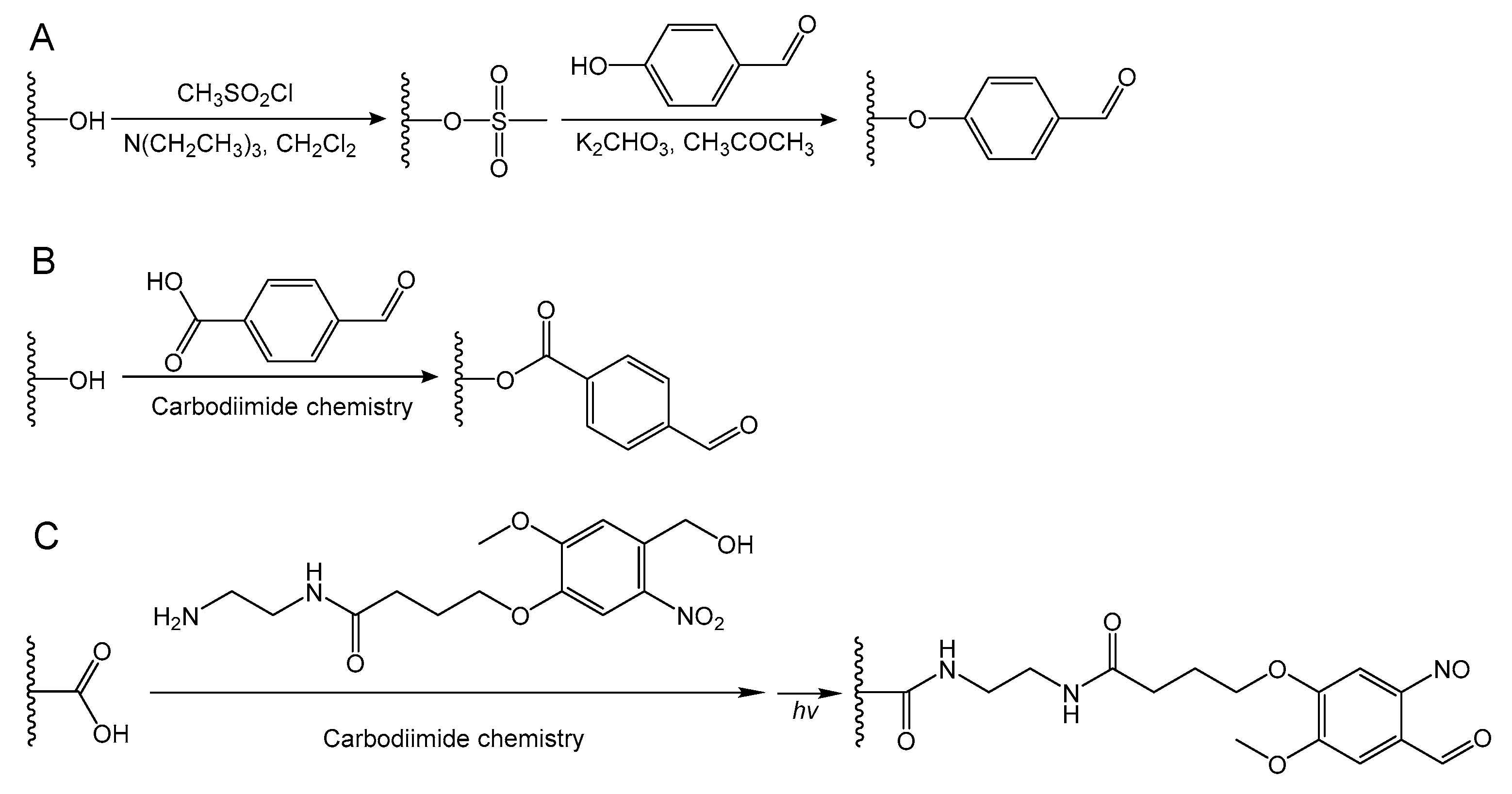 Molecules 24 03005 g006 Molecules 24 03005 g006