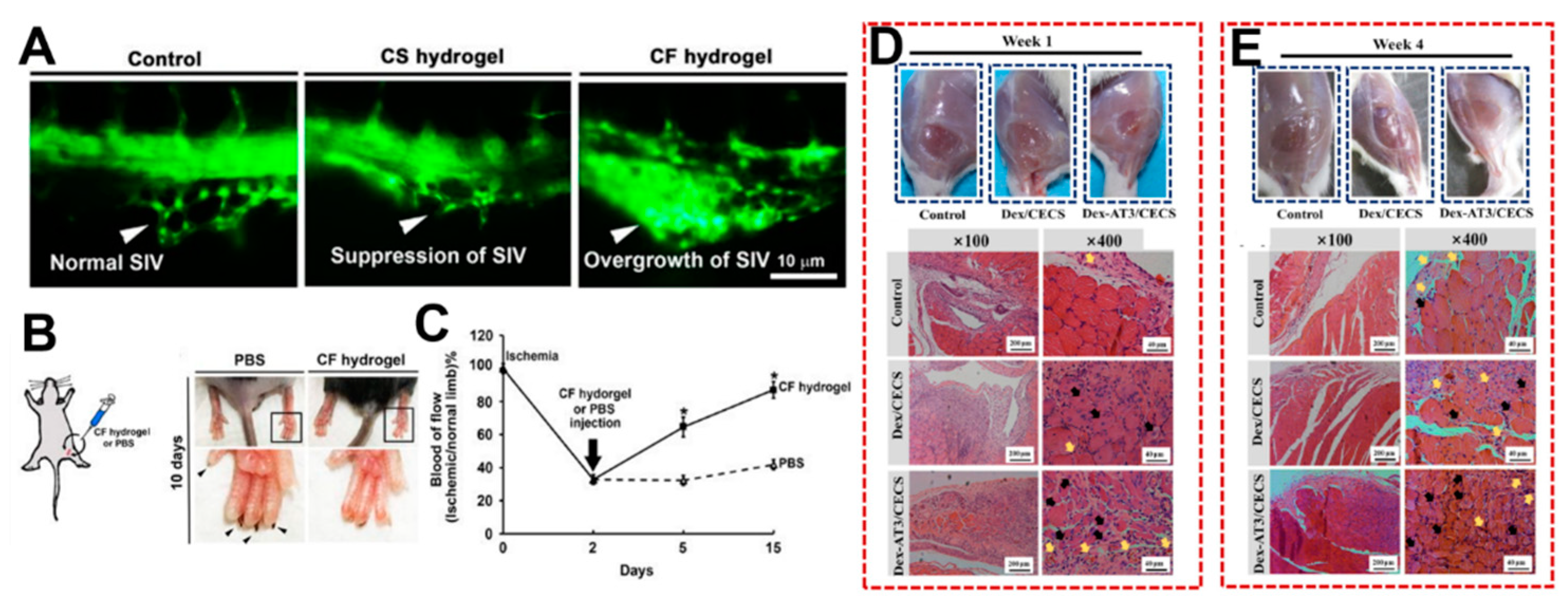Molecules 24 03005 g009 Molecules 24 03005 g009