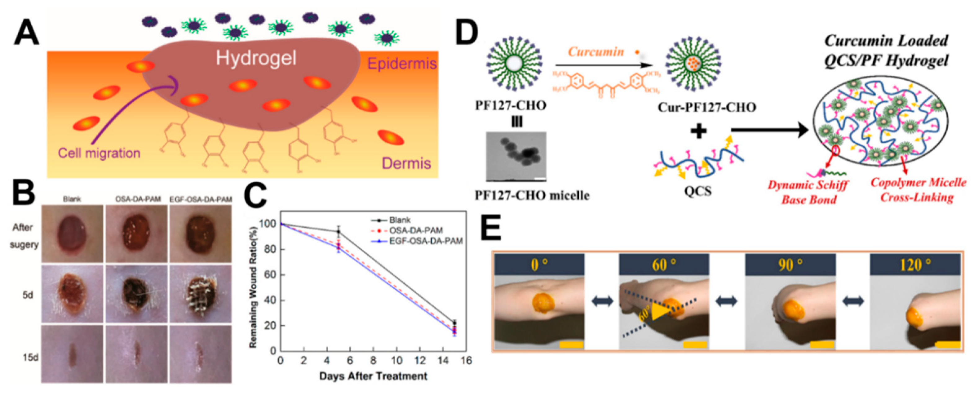 Molecules 24 03005 g011 Molecules 24 03005 g011