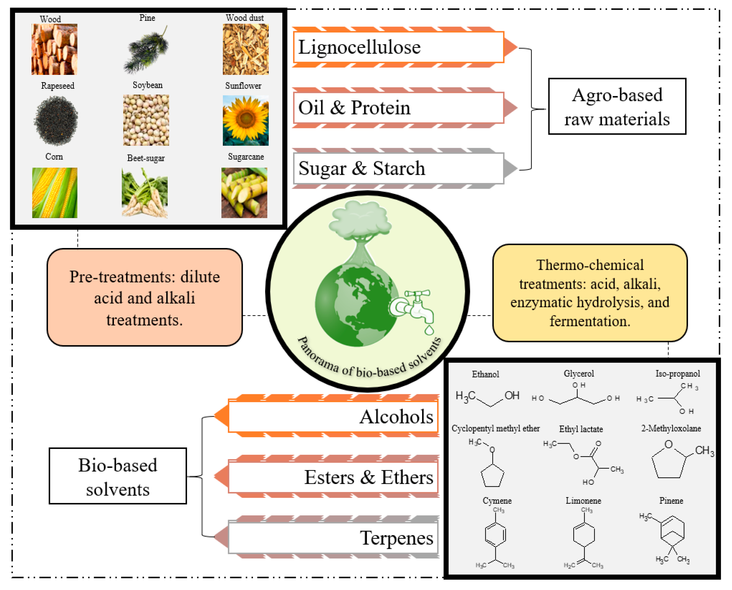 Molecules 24 03007 g004 Molecules 24 03007 g004