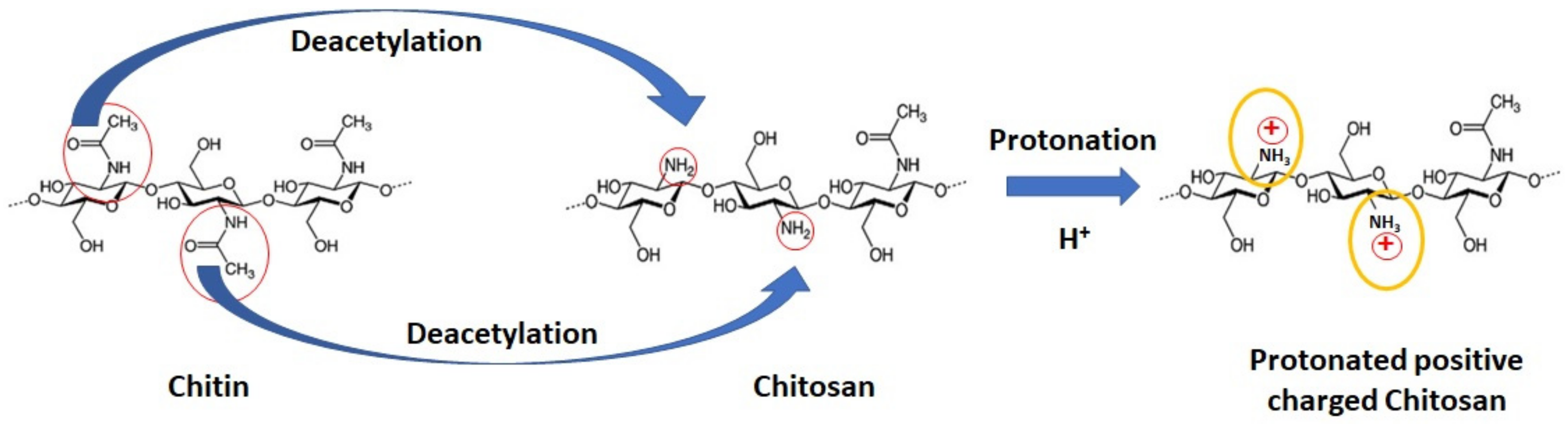 Molecules 24 03009 g001