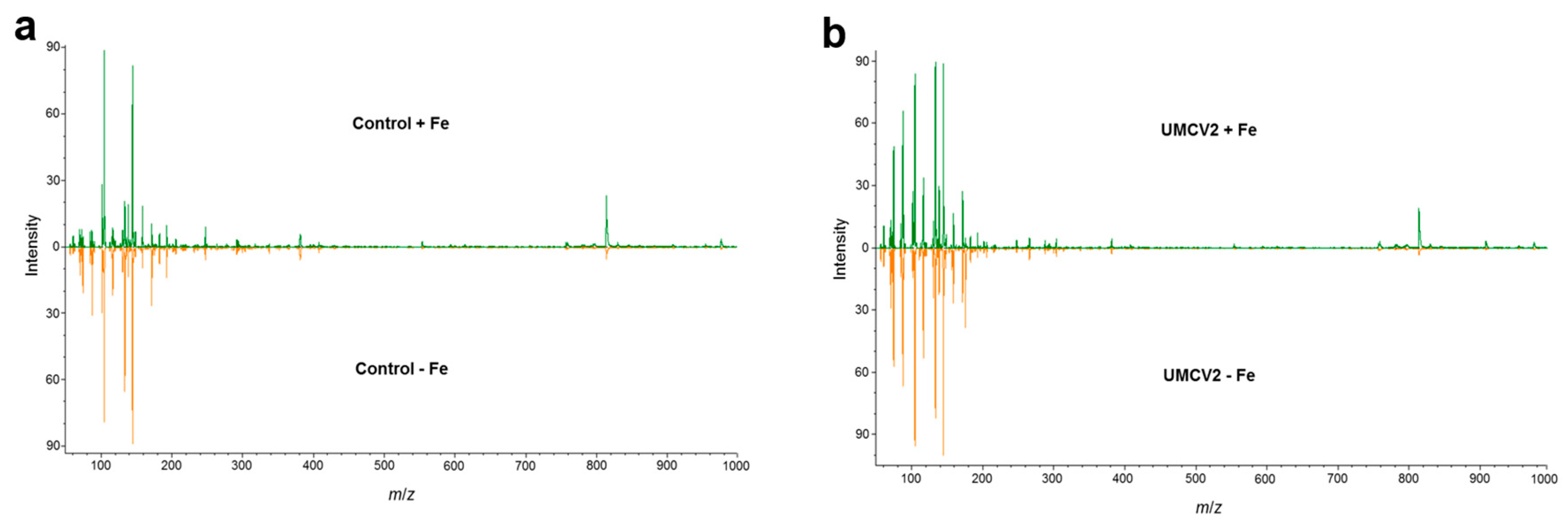 Molecules 24 03011 g002