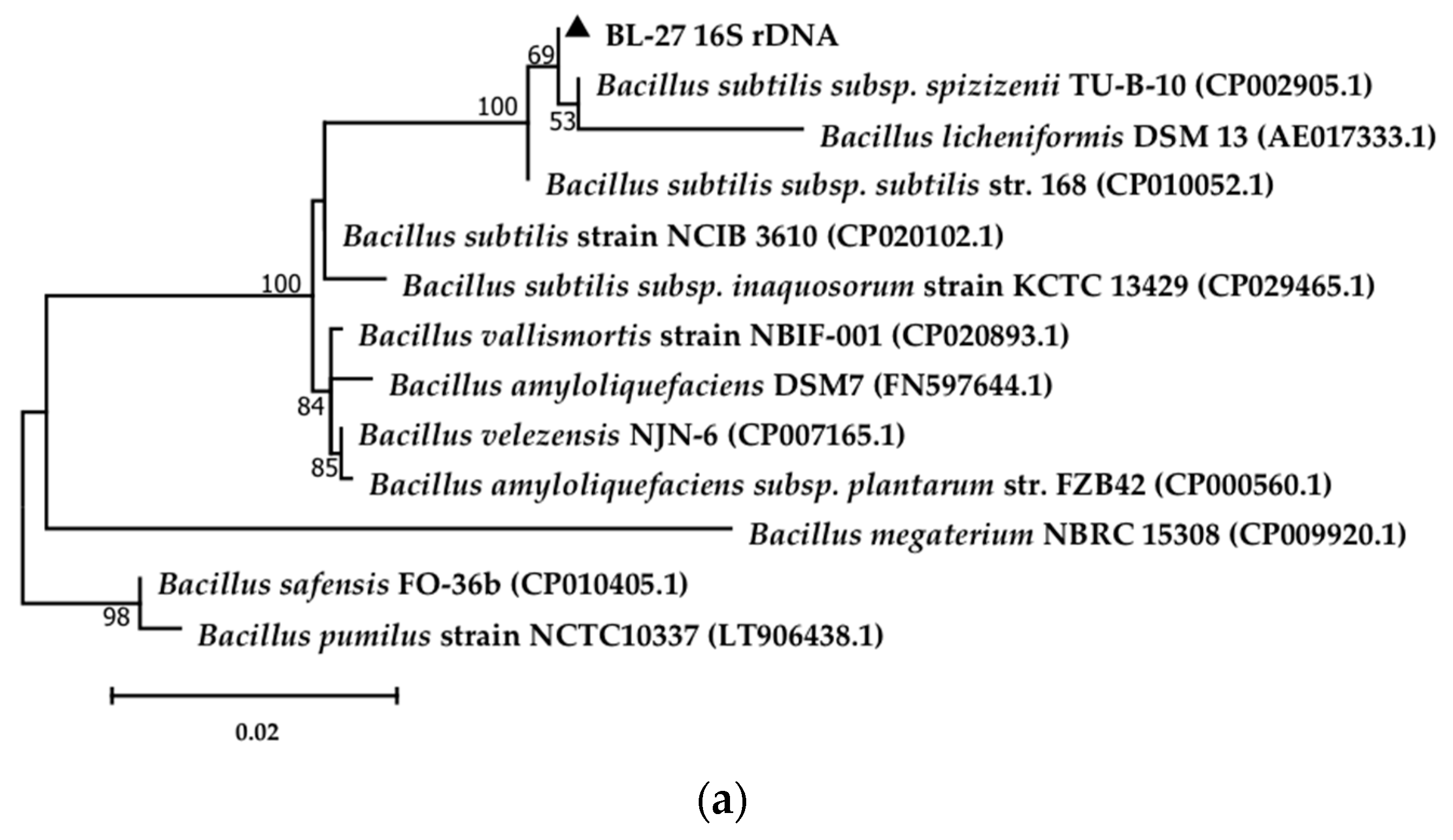 Molecules 24 03021 g001a Molecules 24 03021 g001a