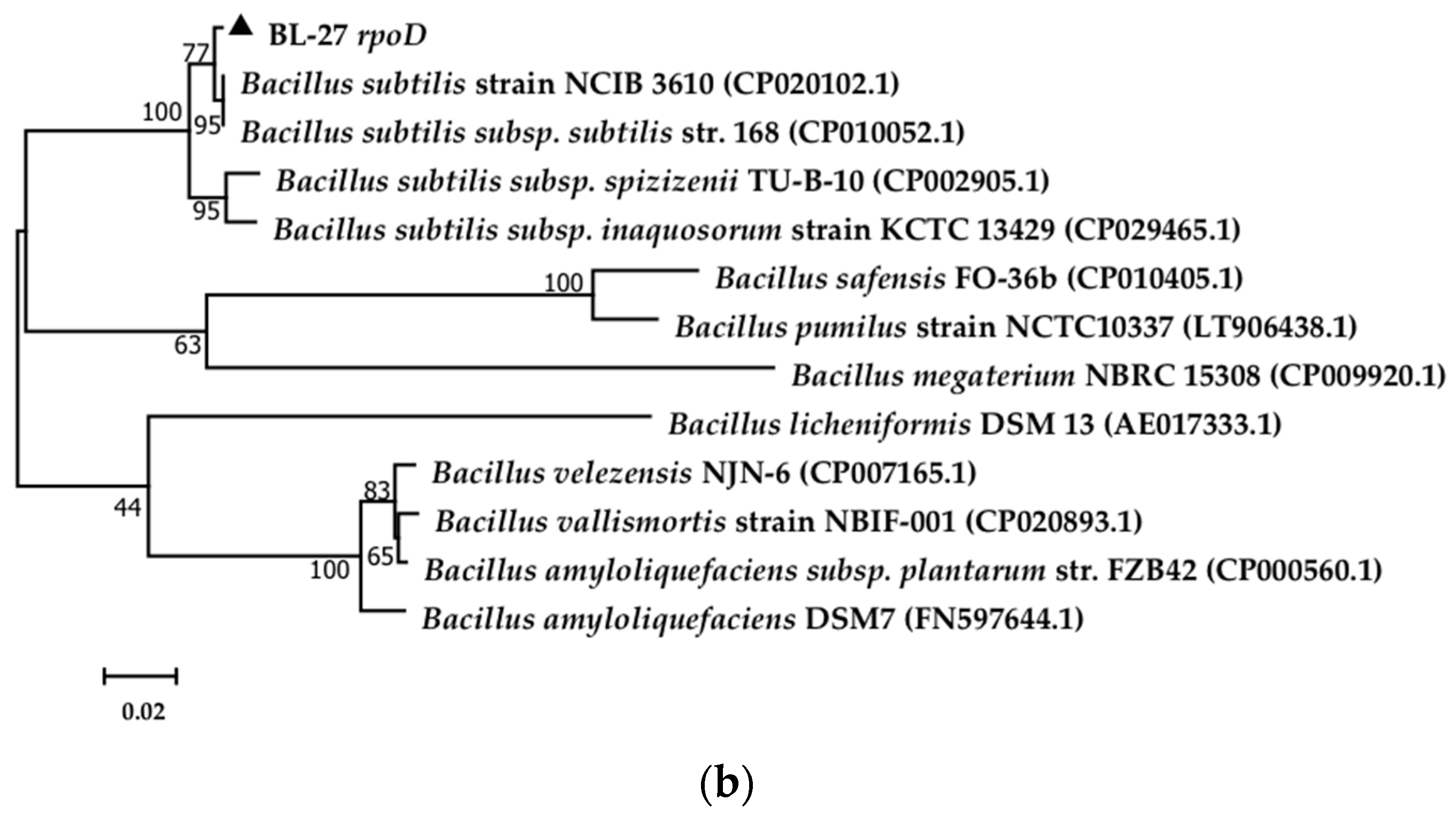 Molecules 24 03021 g001b Molecules 24 03021 g001b