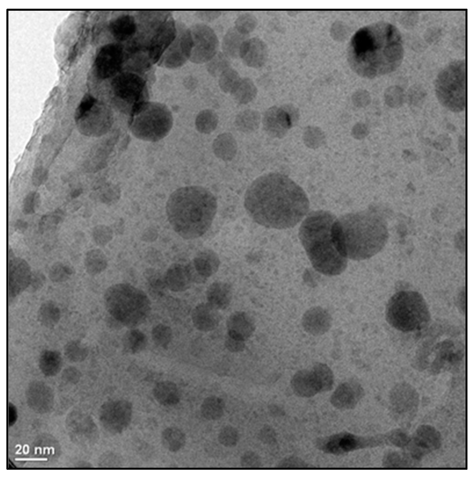 Molecules 24 03030 g008 Molecules 24 03030 g008