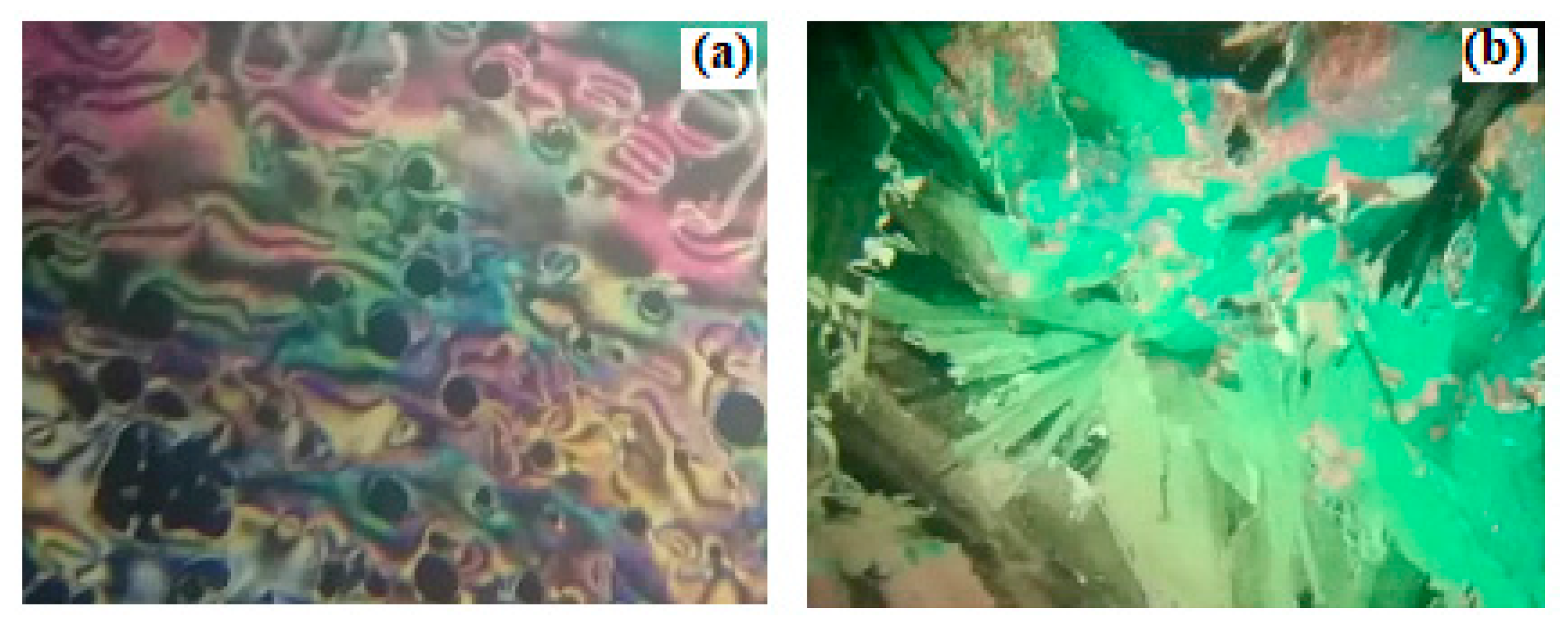 Molecules 24 03032 g004