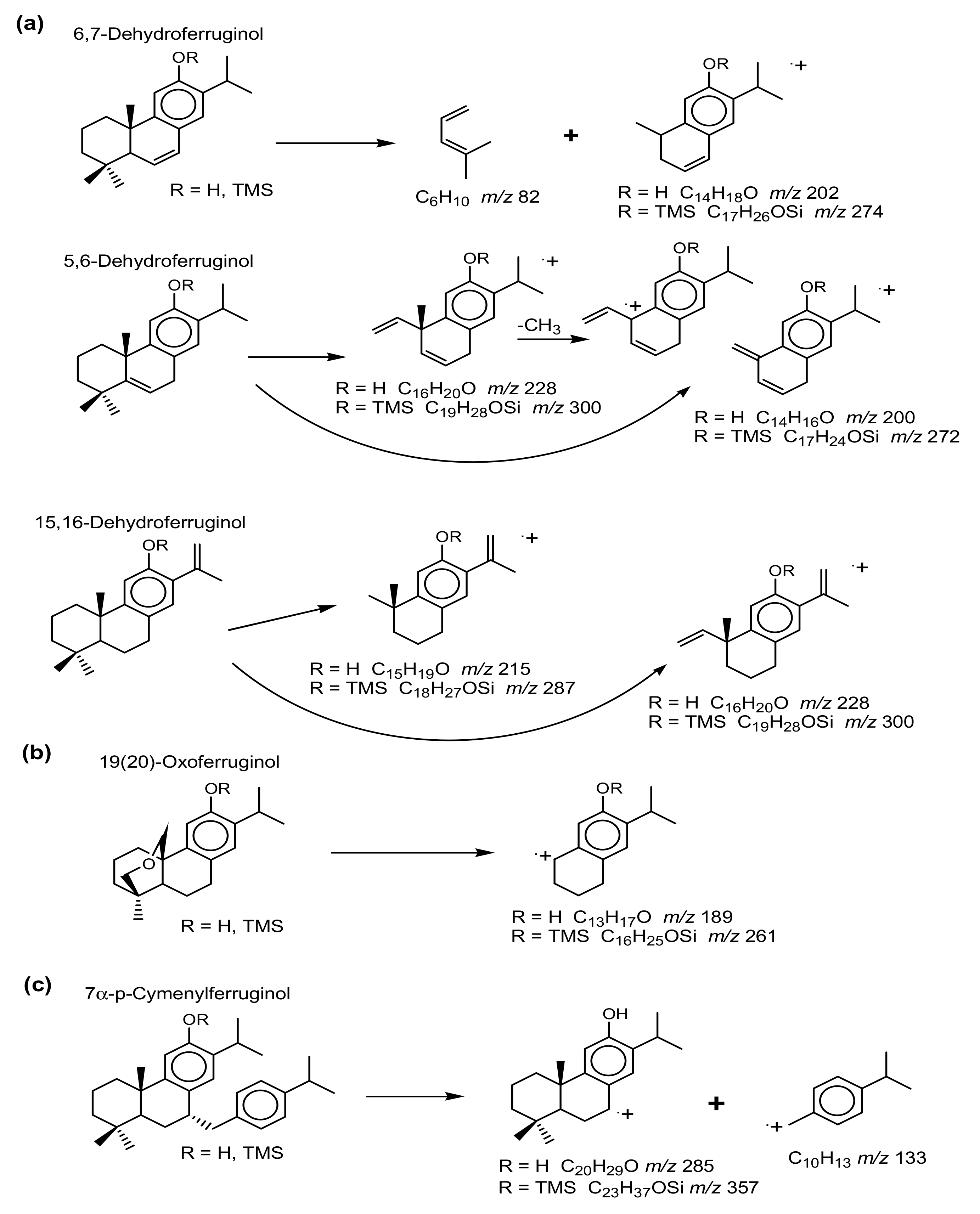 Molecules 24 03036 g003 Molecules 24 03036 g003