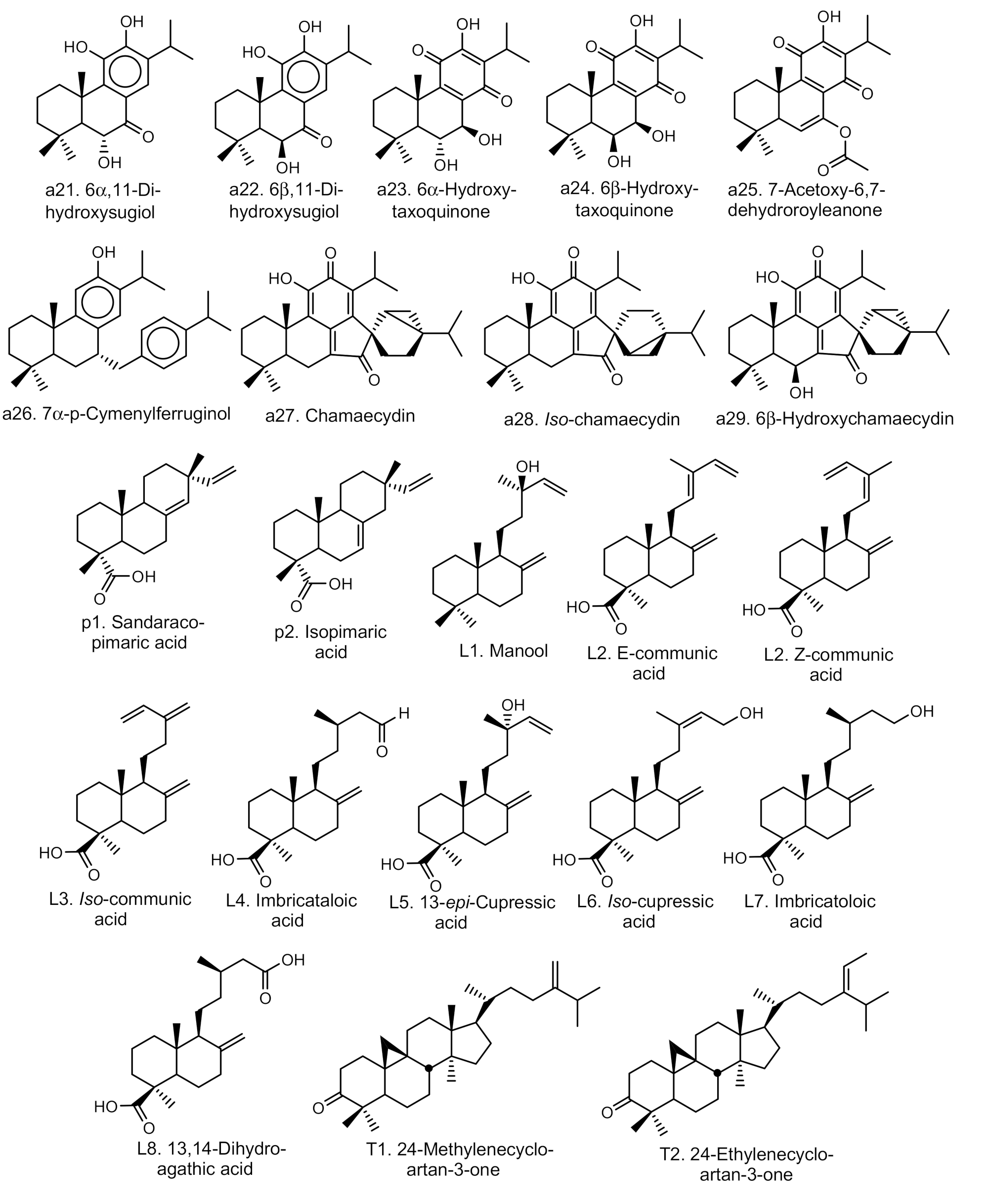Molecules 24 03036 i002 Molecules 24 03036 i002