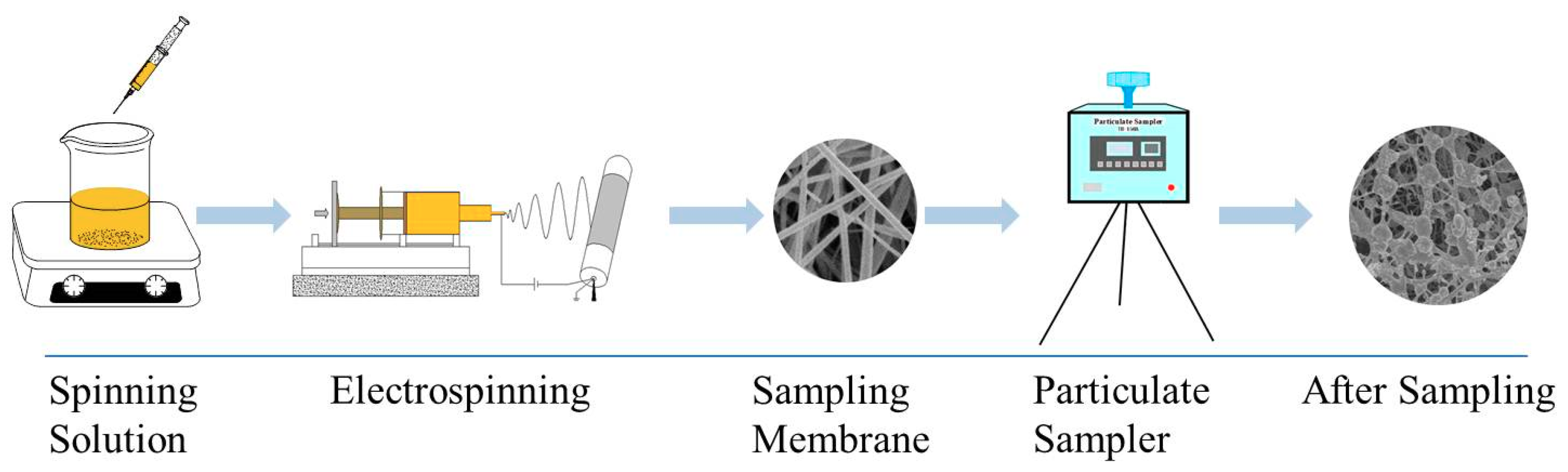 Molecules 24 03037 g011