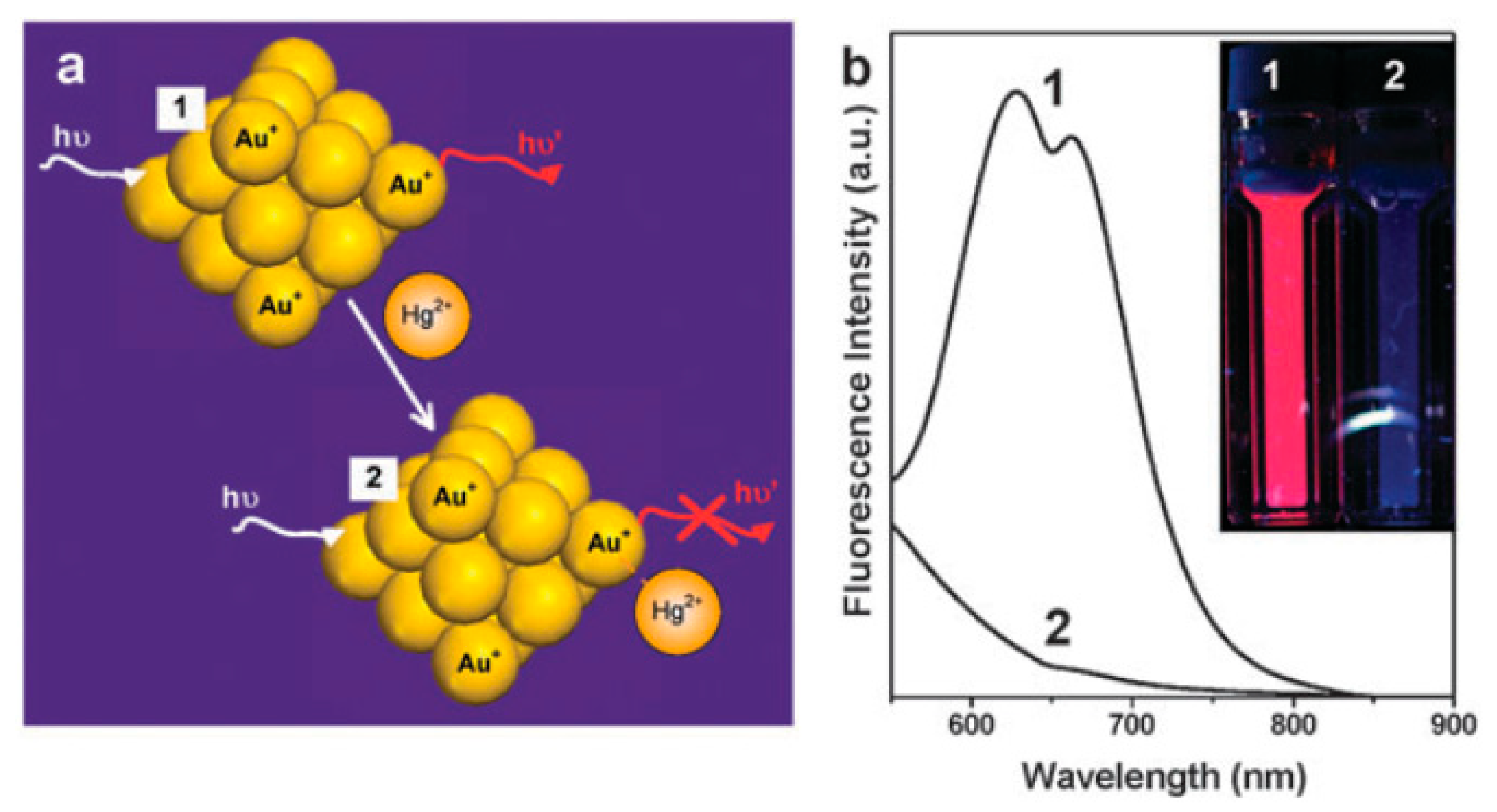 Molecules 24 03045 g002 Molecules 24 03045 g002