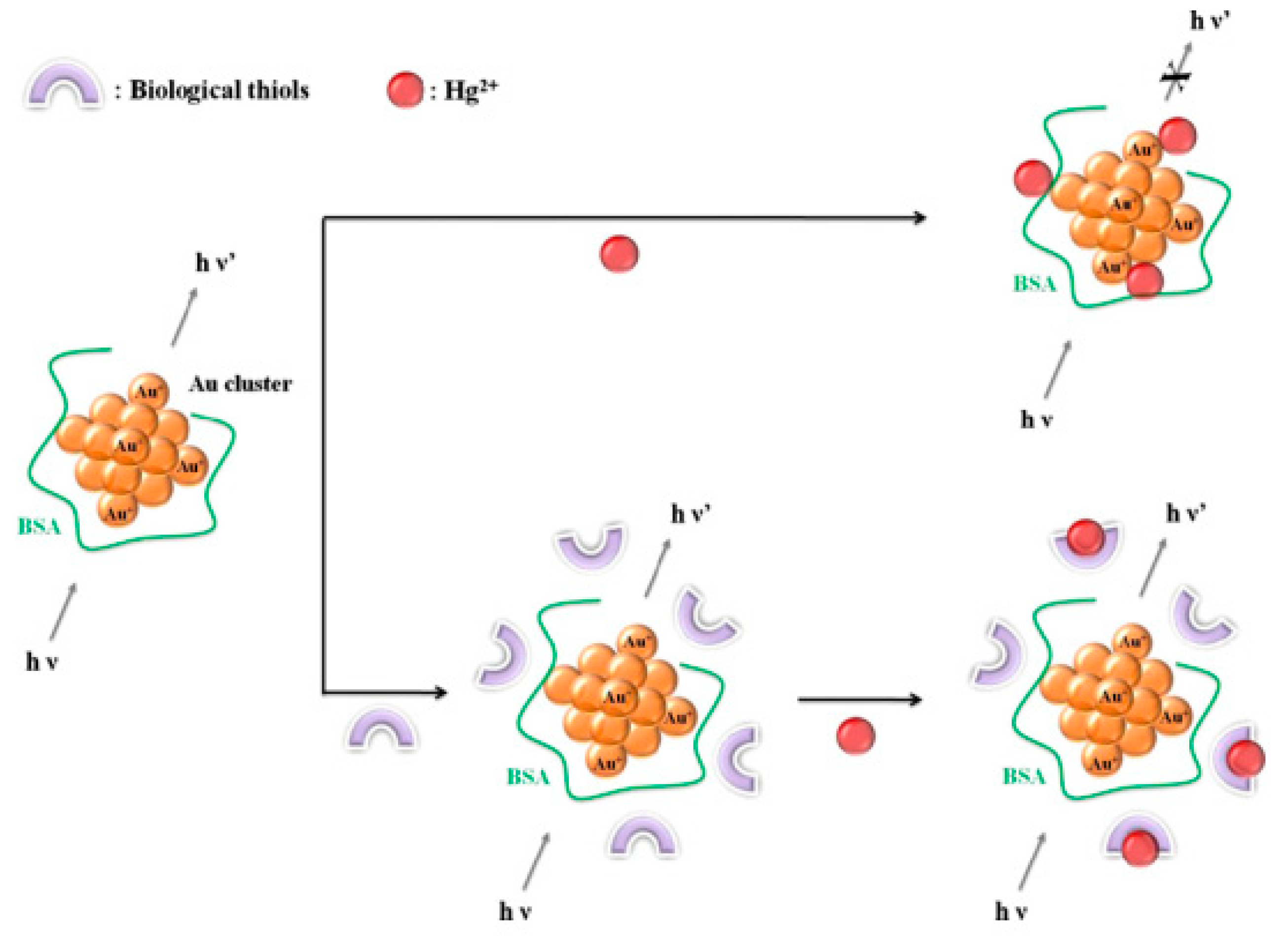 Molecules 24 03045 g003 Molecules 24 03045 g003