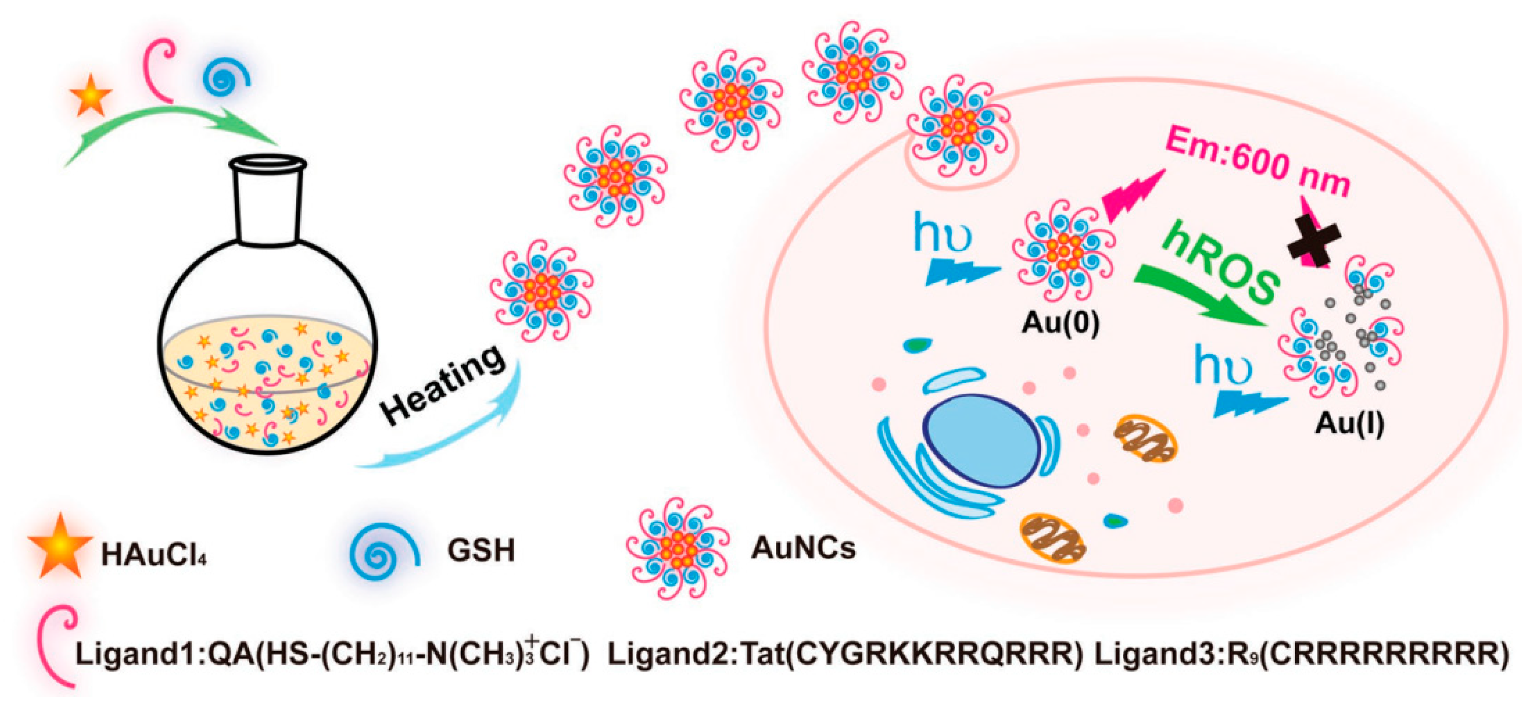 Molecules 24 03045 g004 Molecules 24 03045 g004