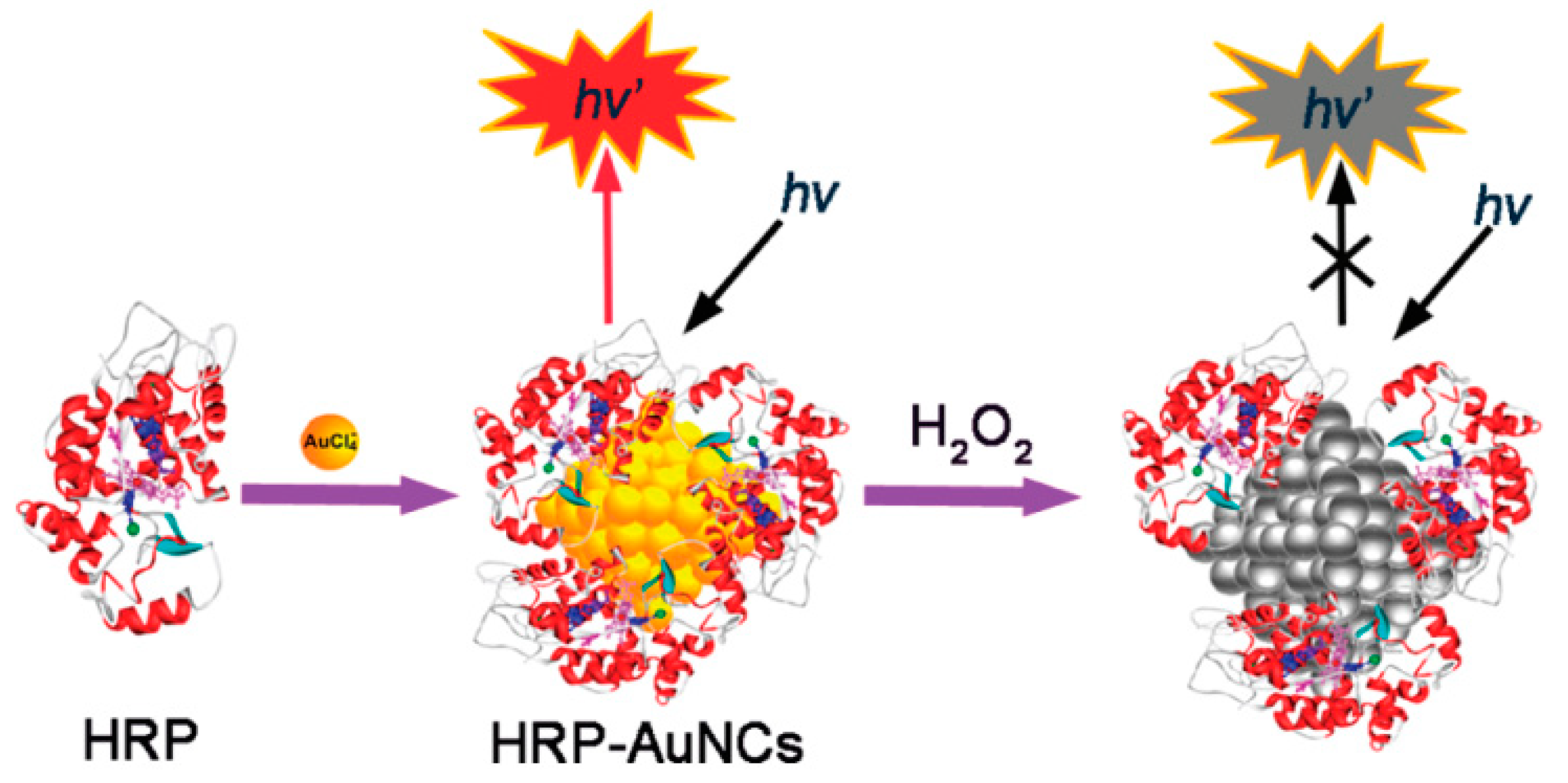 Molecules 24 03045 g006 Molecules 24 03045 g006