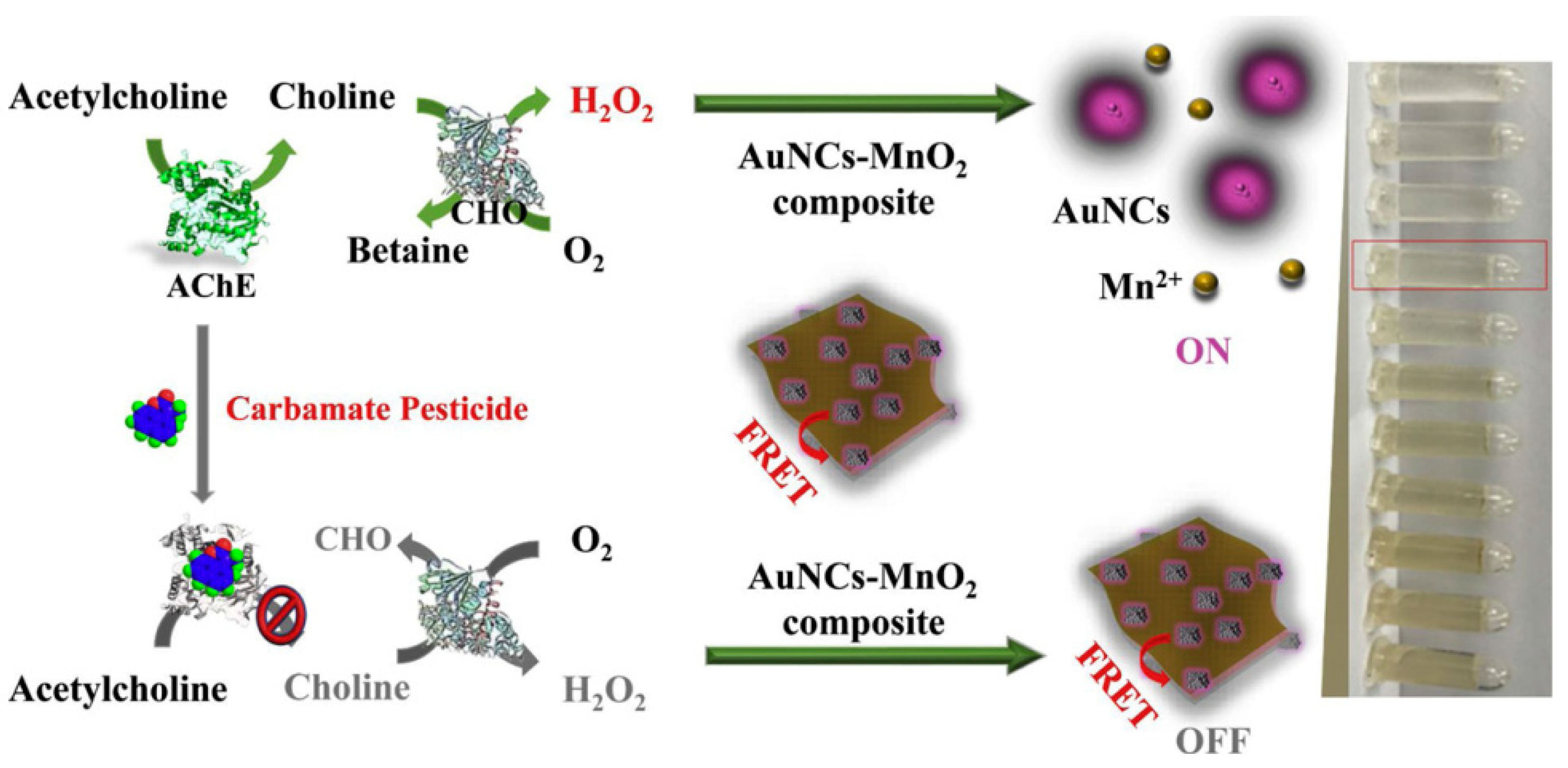 Molecules 24 03045 g008 Molecules 24 03045 g008