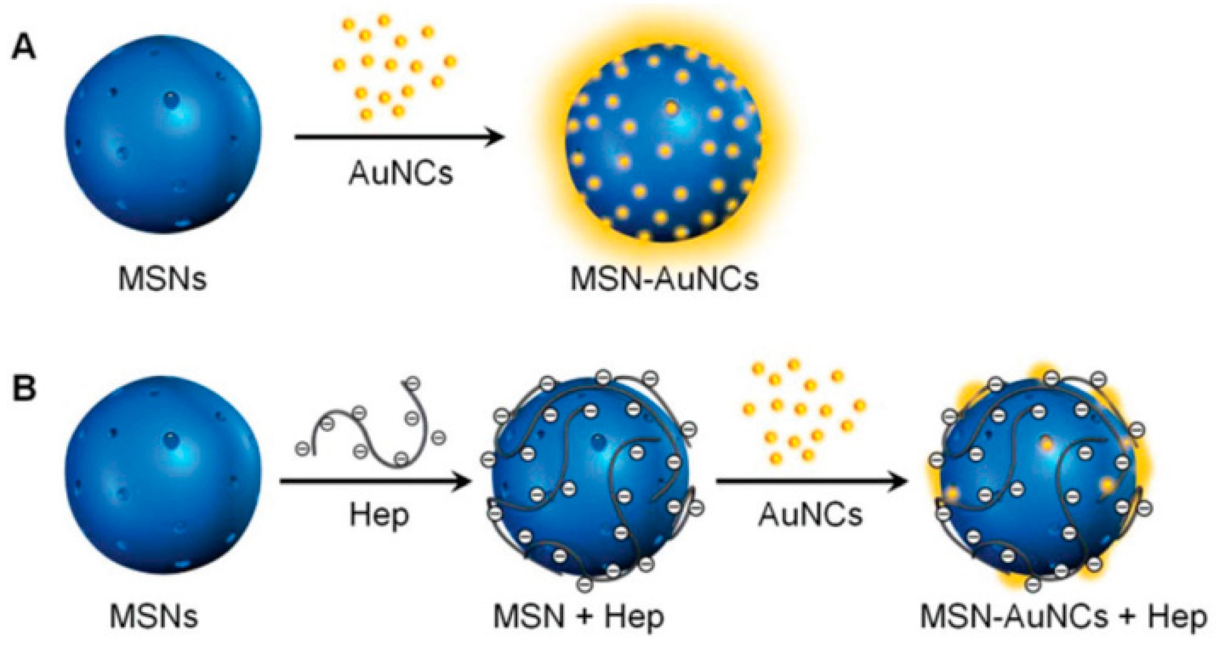 Molecules 24 03045 g009 Molecules 24 03045 g009