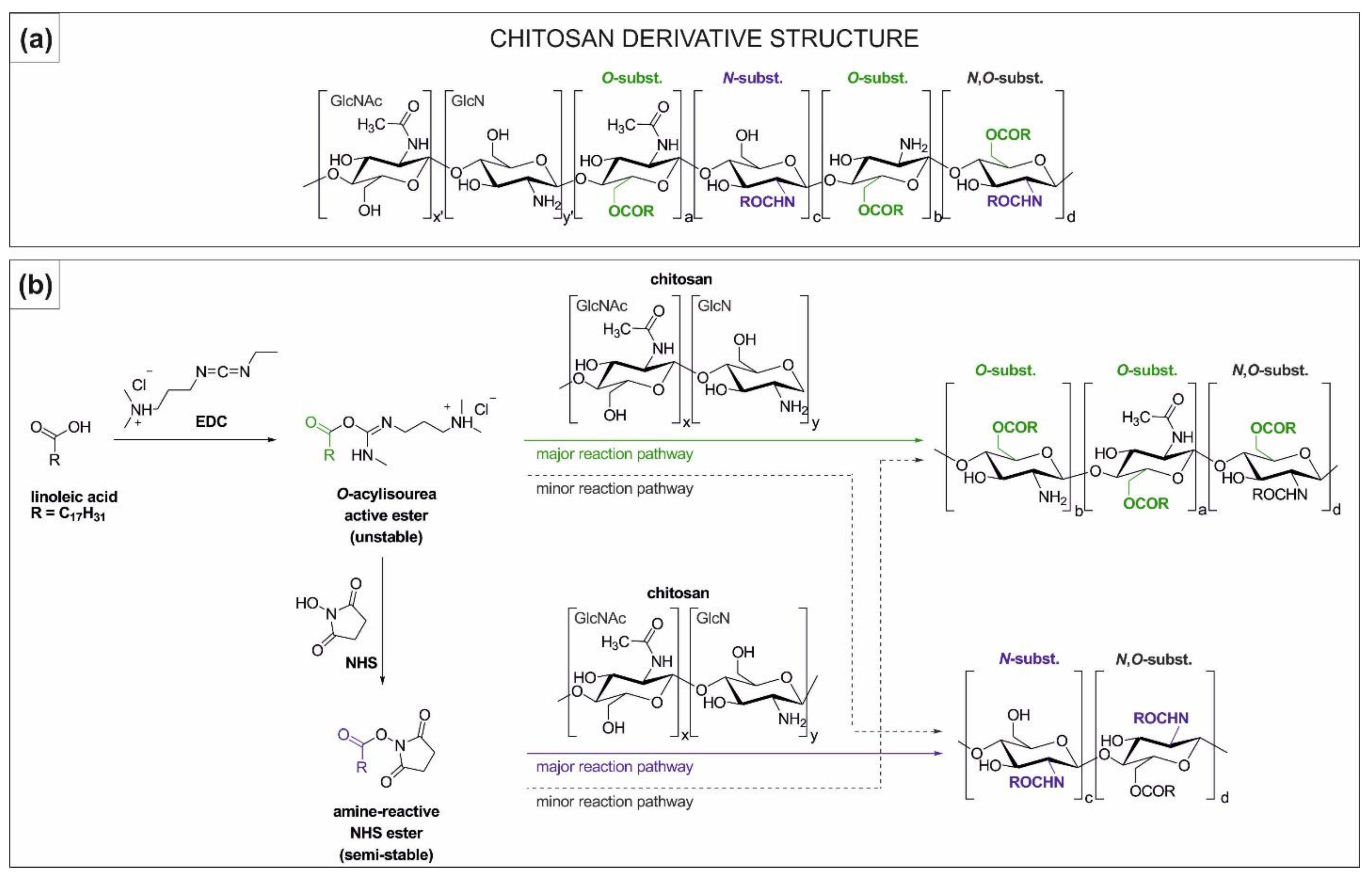 Molecules 24 03047 sch002 Molecules 24 03047 sch002