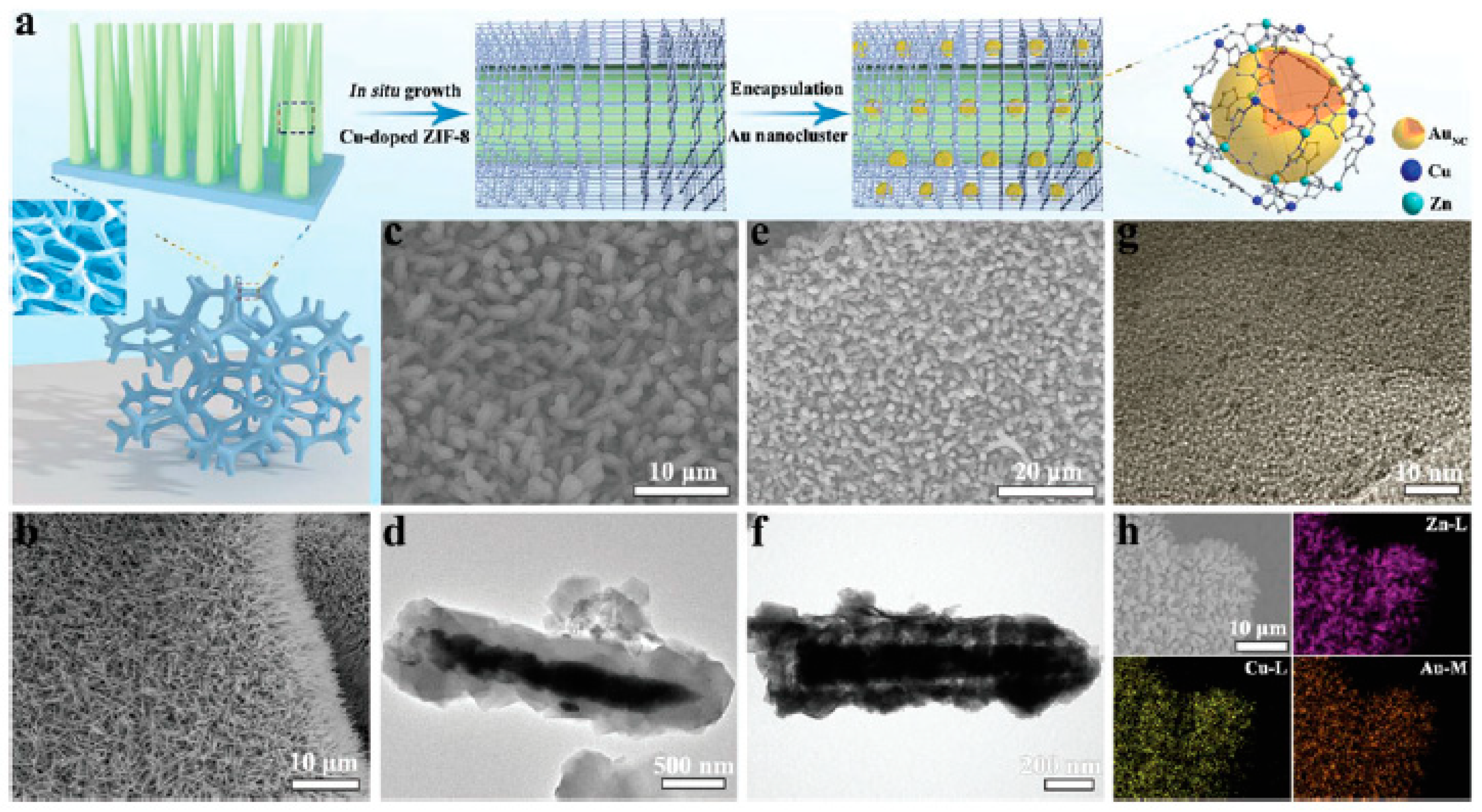 Molecules 24 03050 g006 Molecules 24 03050 g006