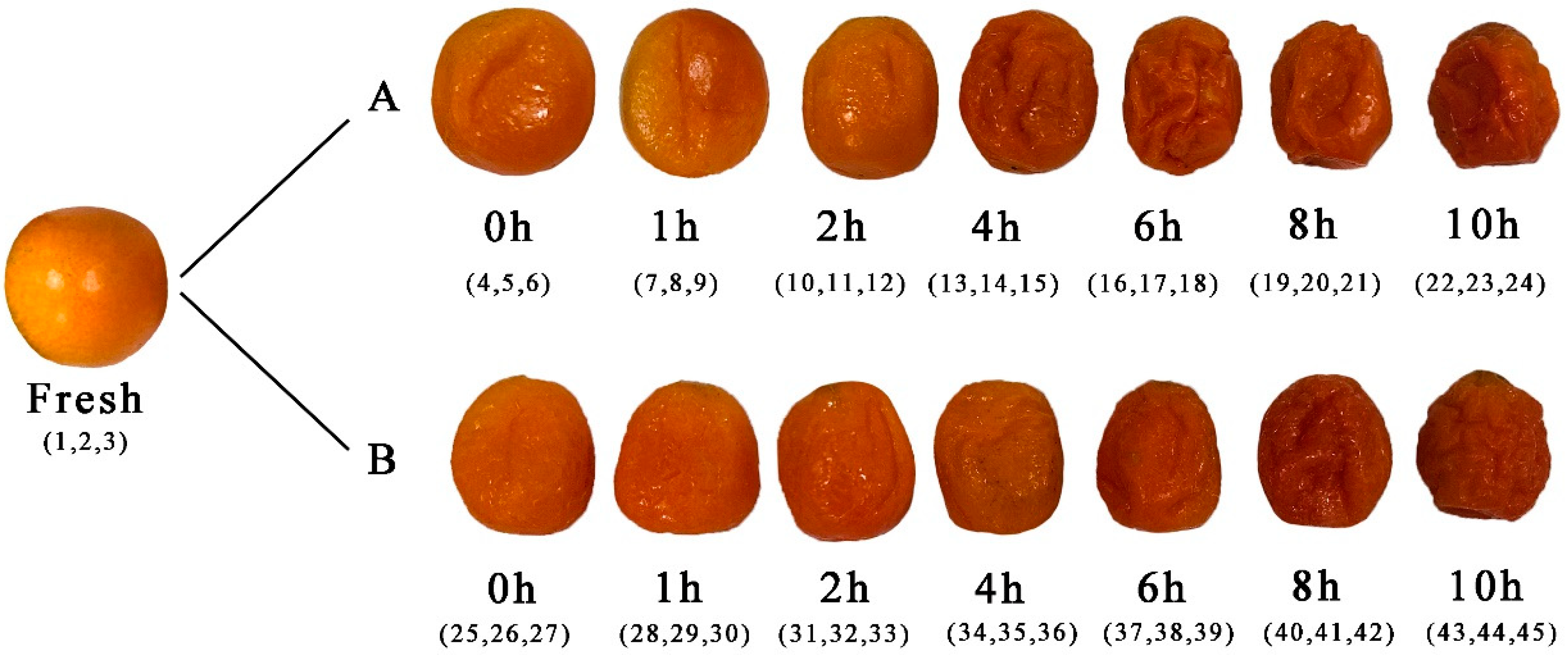 Molecules 24 03053 g009 550