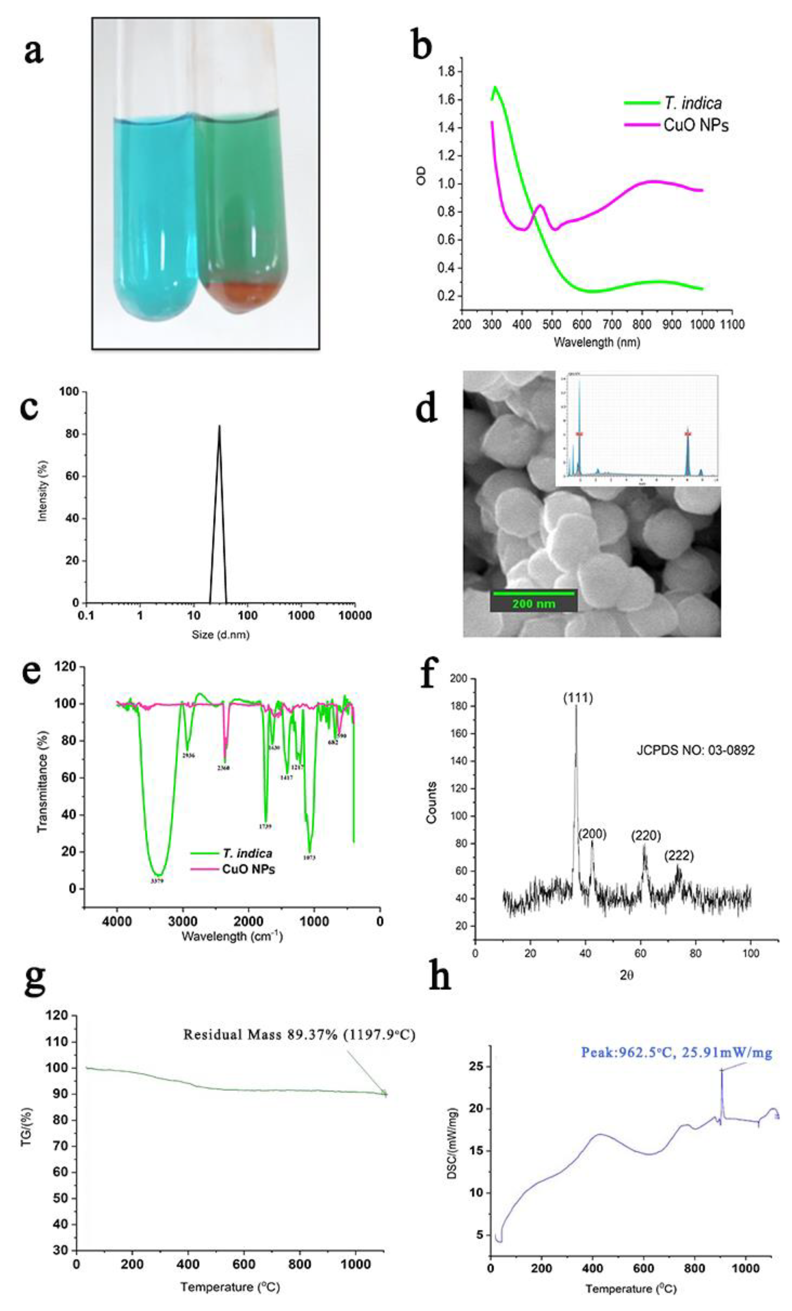 Molecules 24 03055 g002