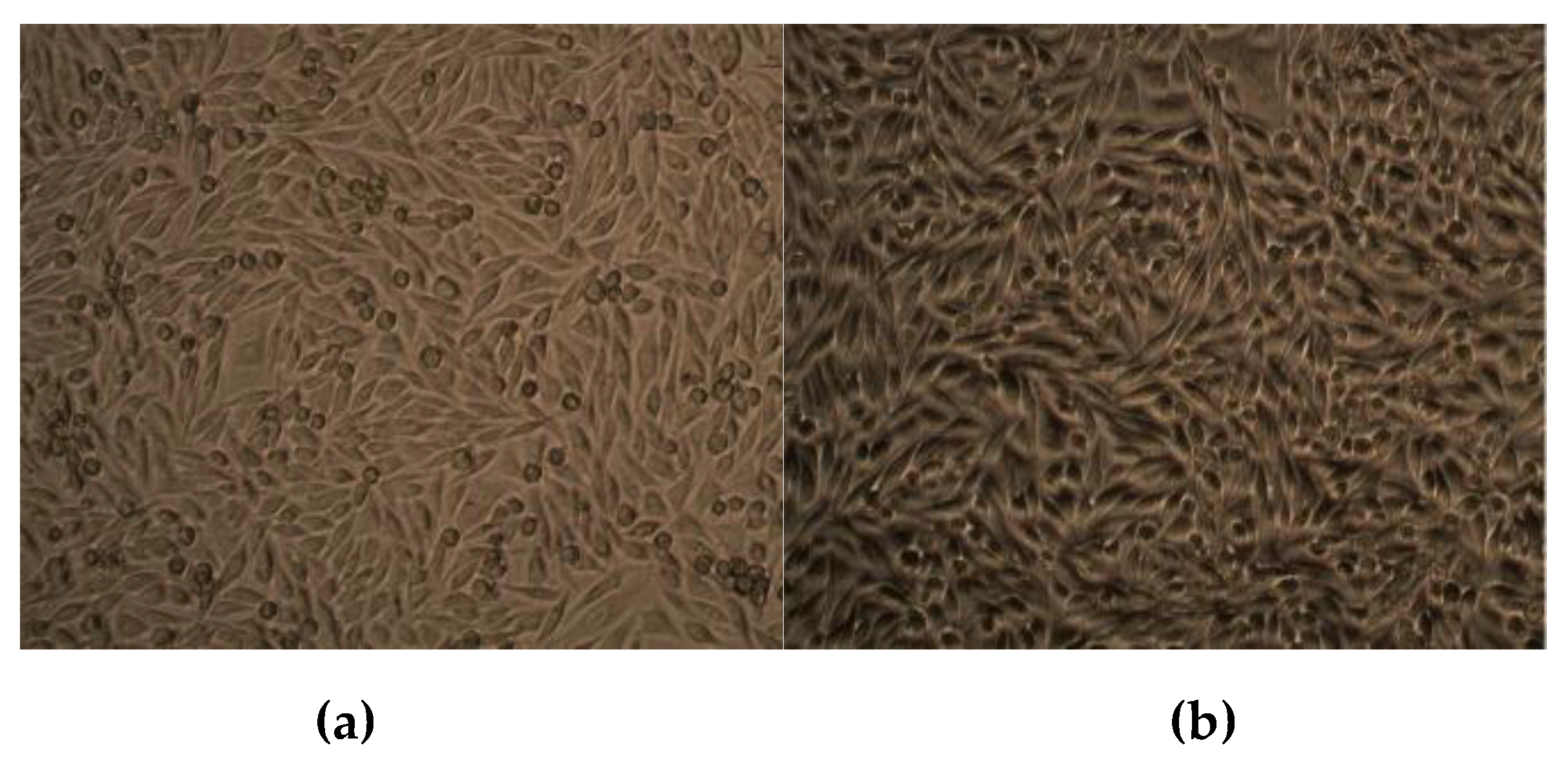 Molecules 24 03055 g007