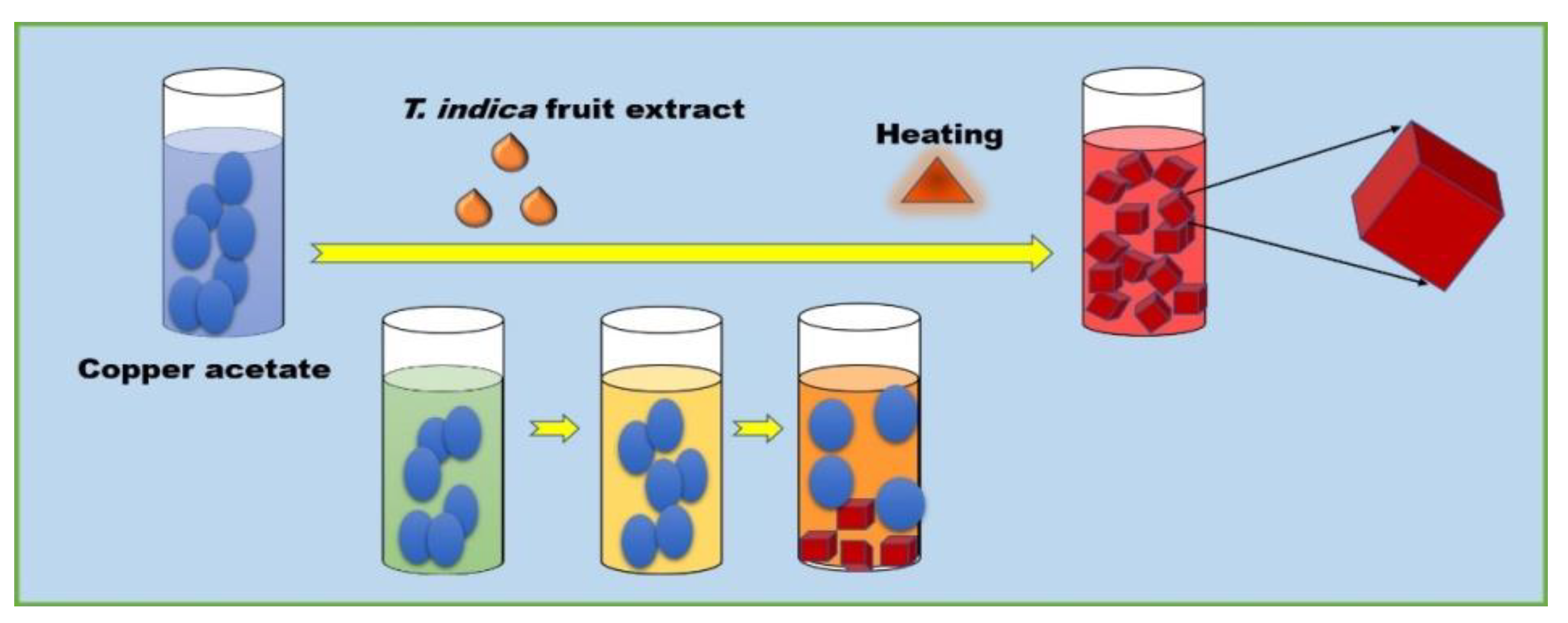 Molecules 24 03055 g008