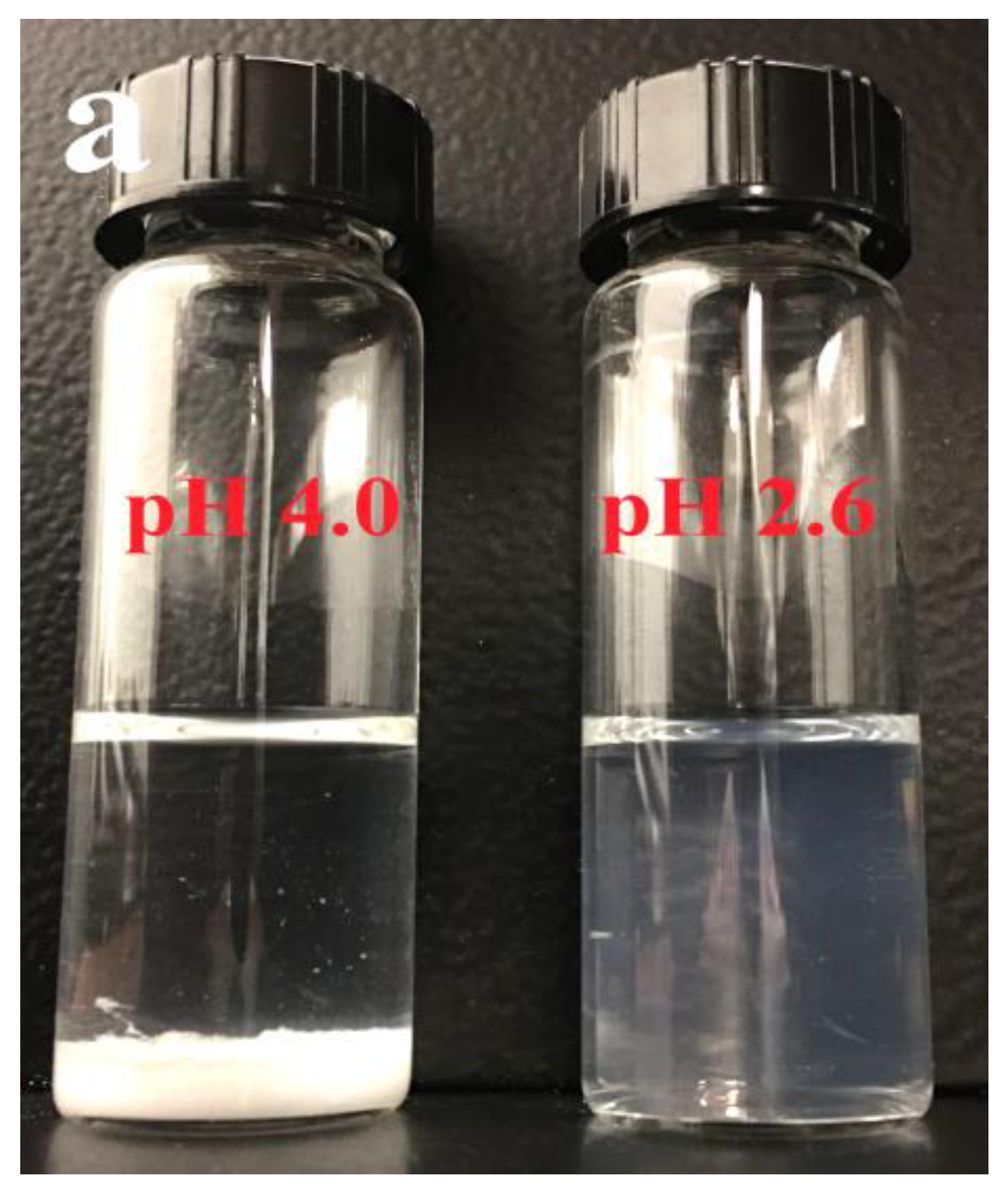 Molecules 24 03056 g008a Molecules 24 03056 g008a