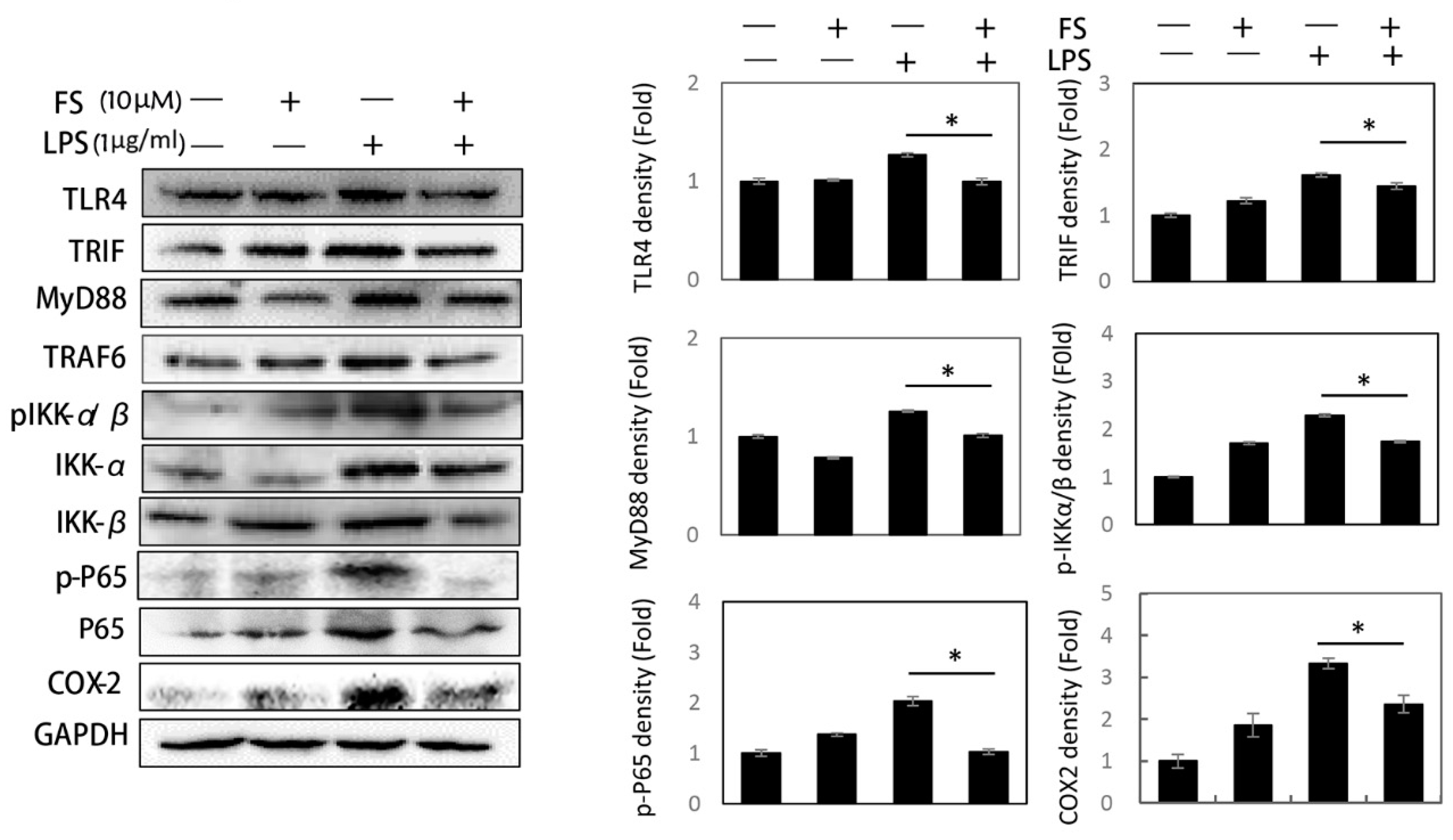 Molecules 24 03064 g003