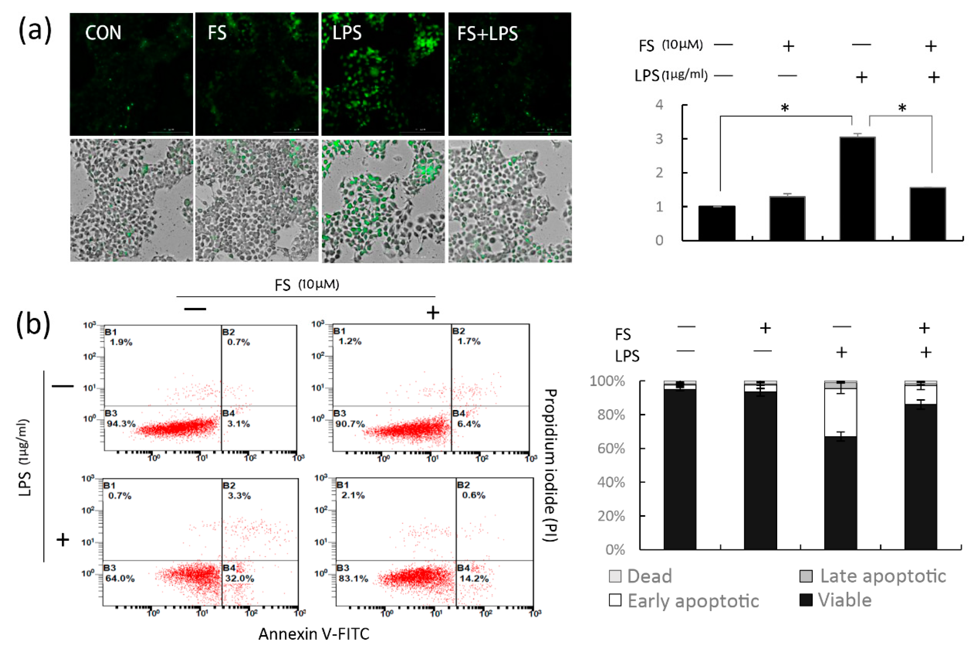 Molecules 24 03064 g004