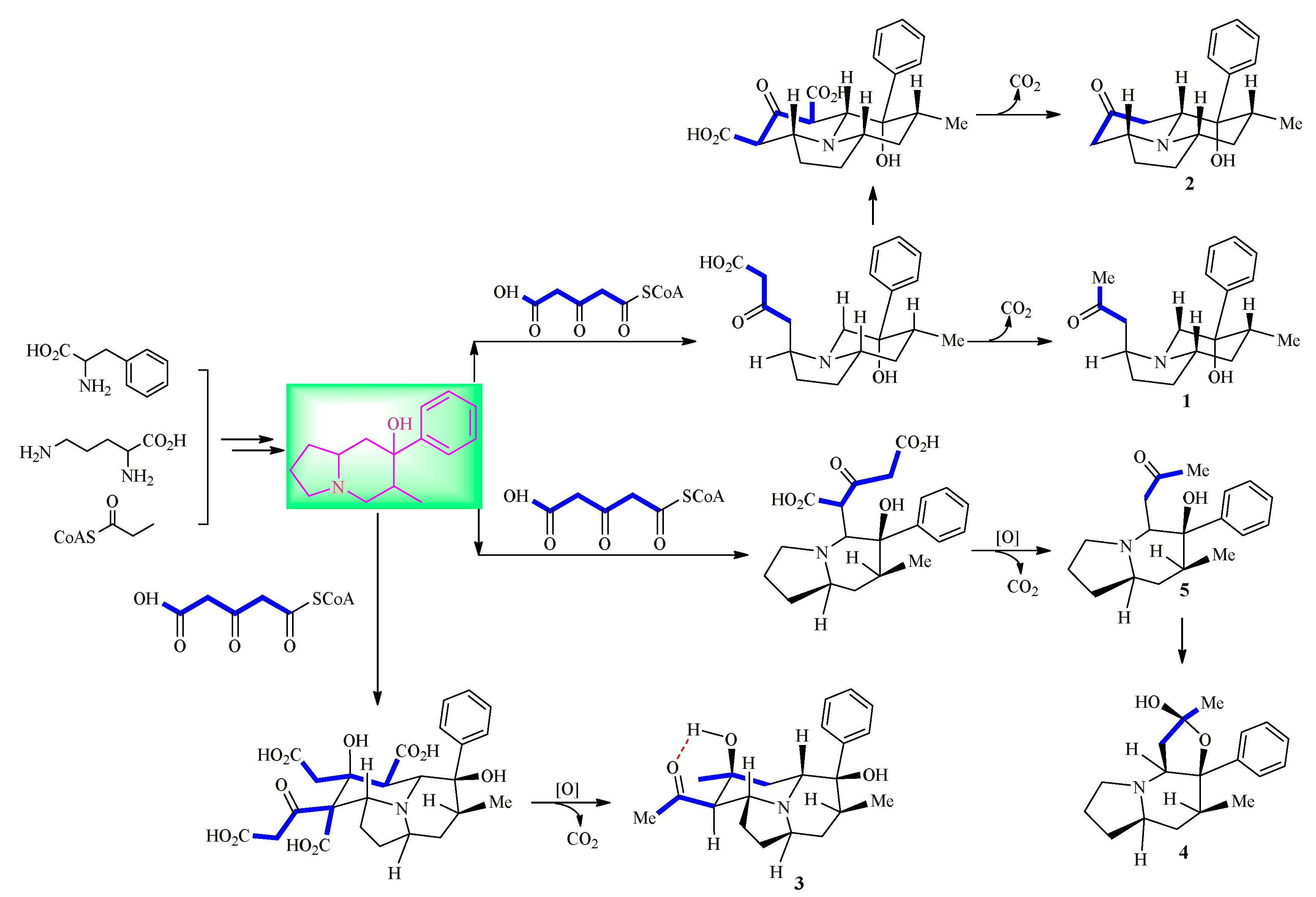 Molecules 24 03071 g005 550