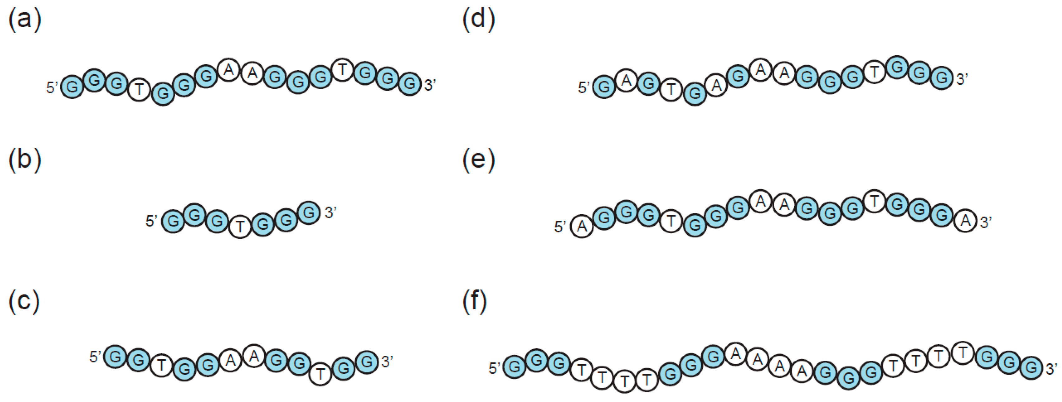 Molecules Free Full Text Structure And Function Of Multimeric G Quadruplexes Html Molecules Free Full Text Structure And Function Of Multimeric G Quadruplexes Html