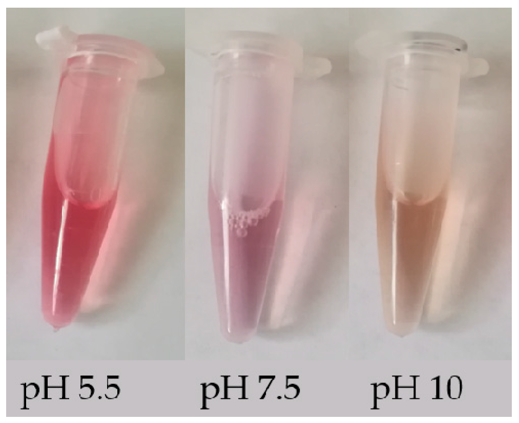 Molecules 24 03078 g002 Molecules 24 03078 g002