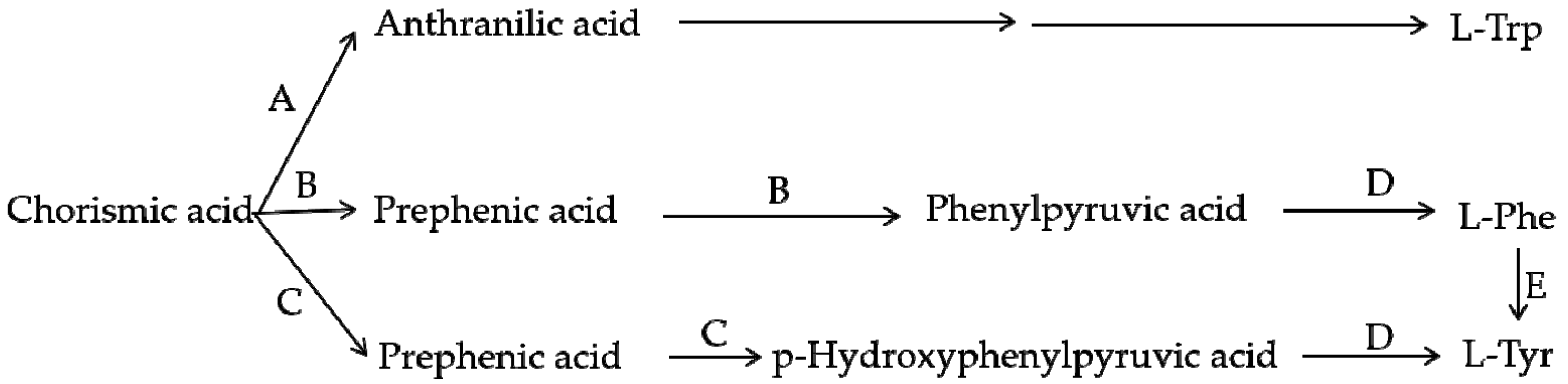 Molecules 24 03078 g006 Molecules 24 03078 g006