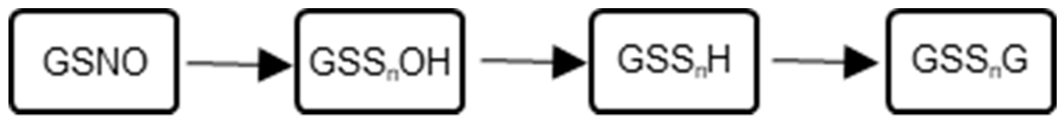 Molecules 24 03090 sch005 Molecules 24 03090 sch005