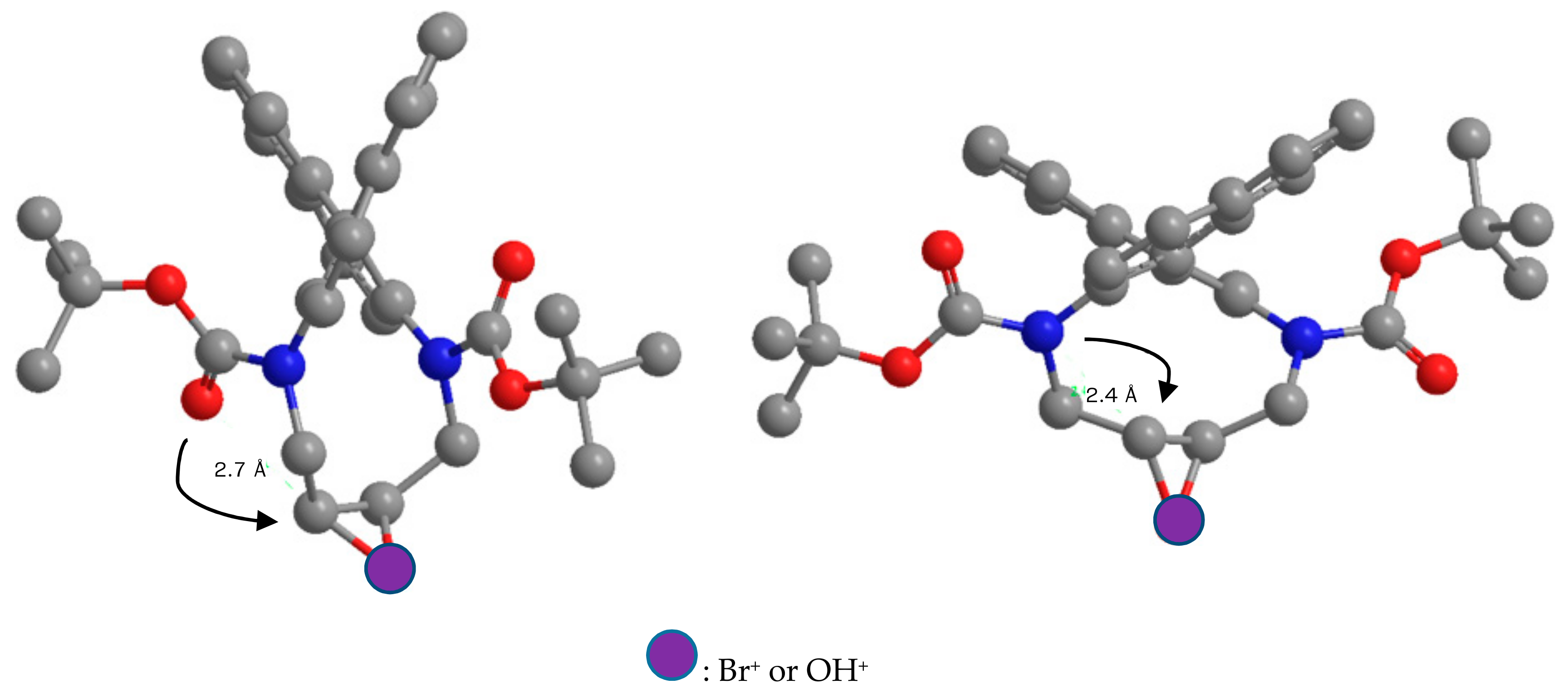 Molecules 24 03098 g006