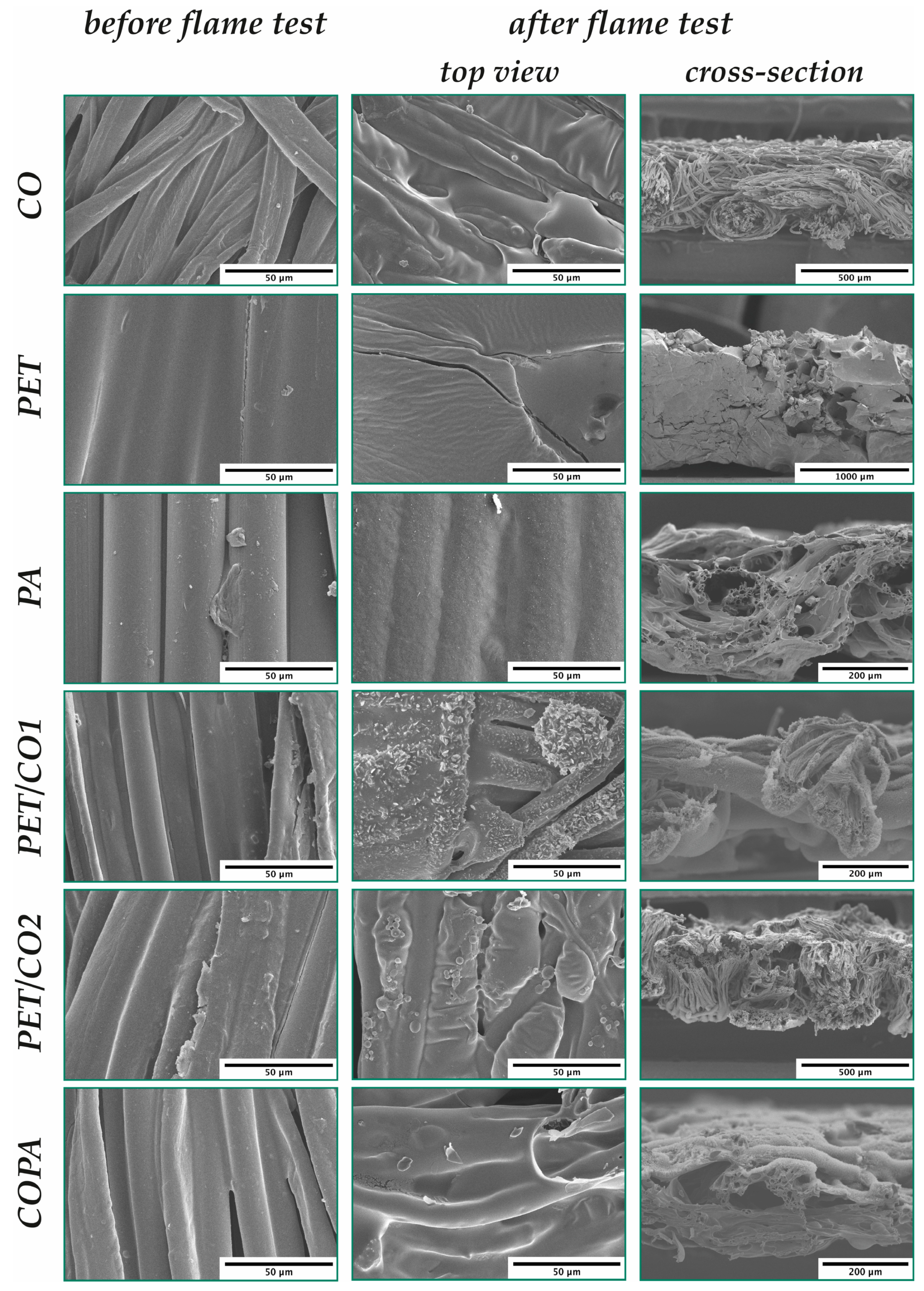 Molecules 24 03100 g011 Molecules 24 03100 g011