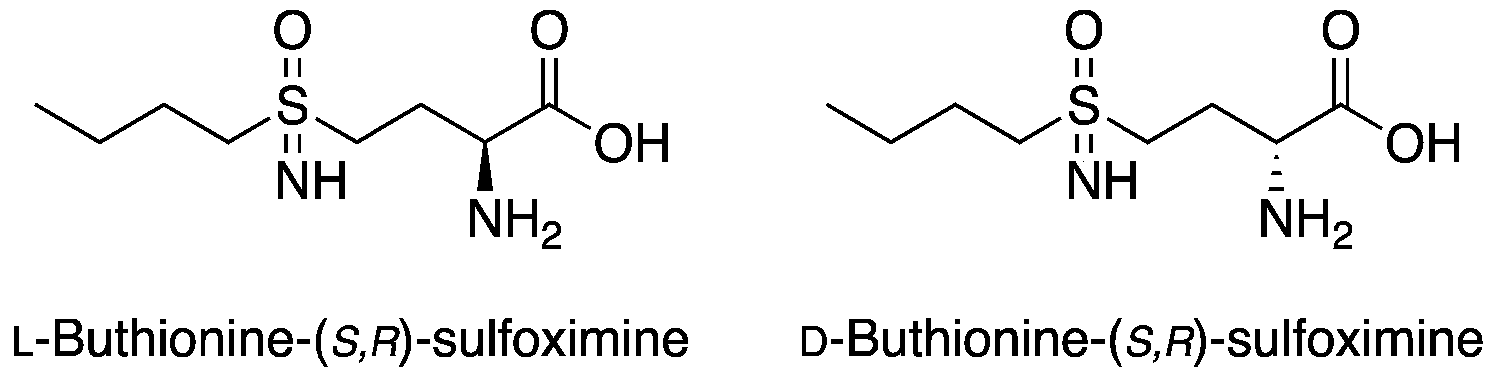 Molecules 24 03111 g001