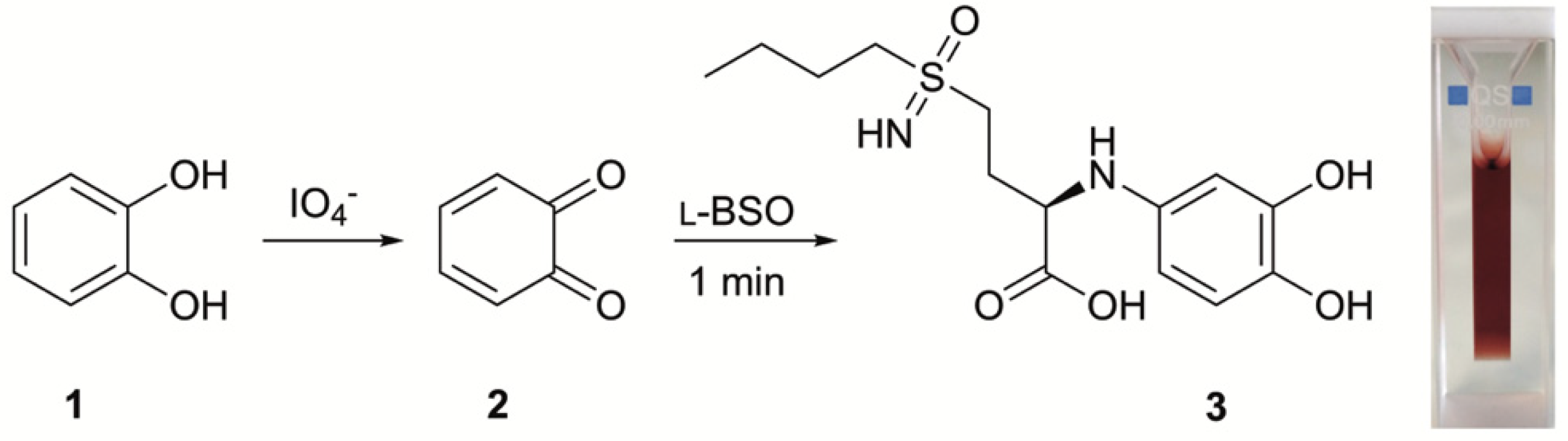 Molecules 24 03111 sch001
