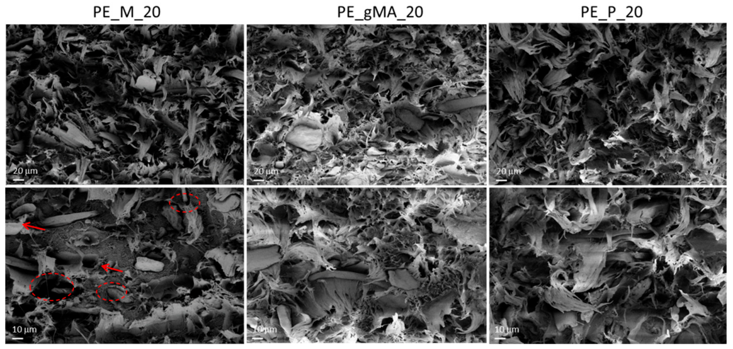 Molecules 24 03113 g003 Molecules 24 03113 g003