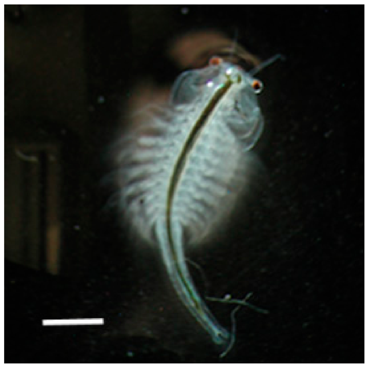 Molecules 24 03114 g003 550