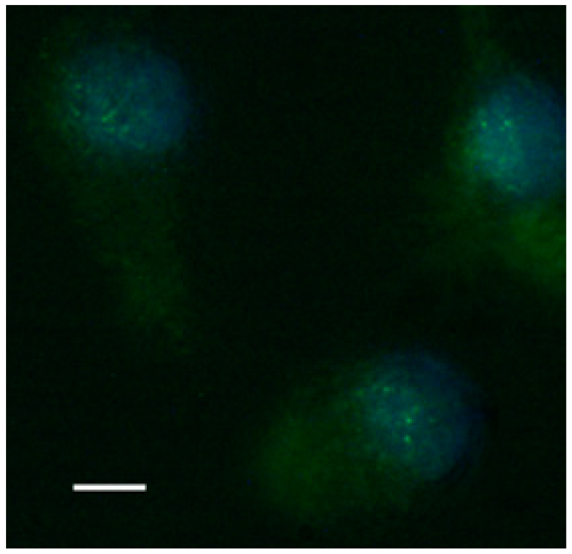 Molecules 24 03114 g008 550