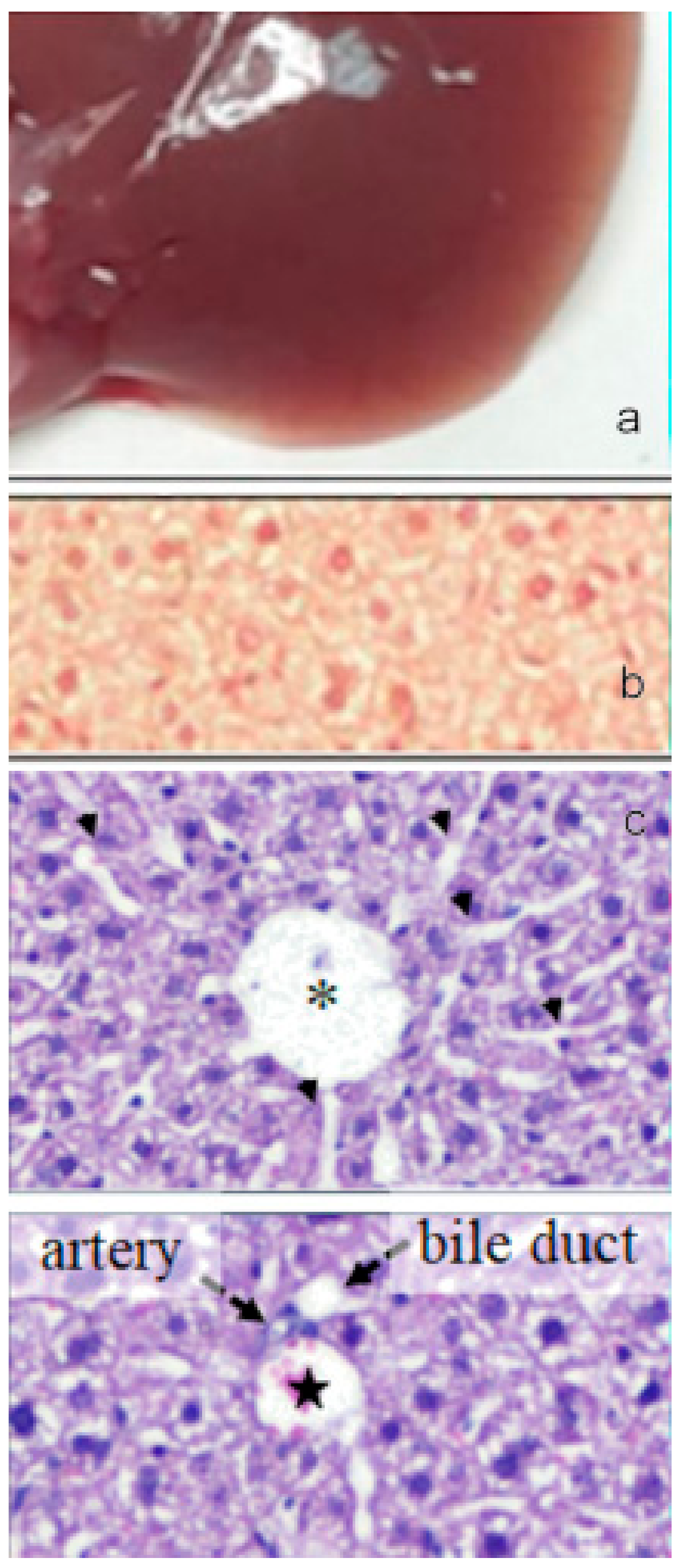 Molecules 24 03114 g012 550