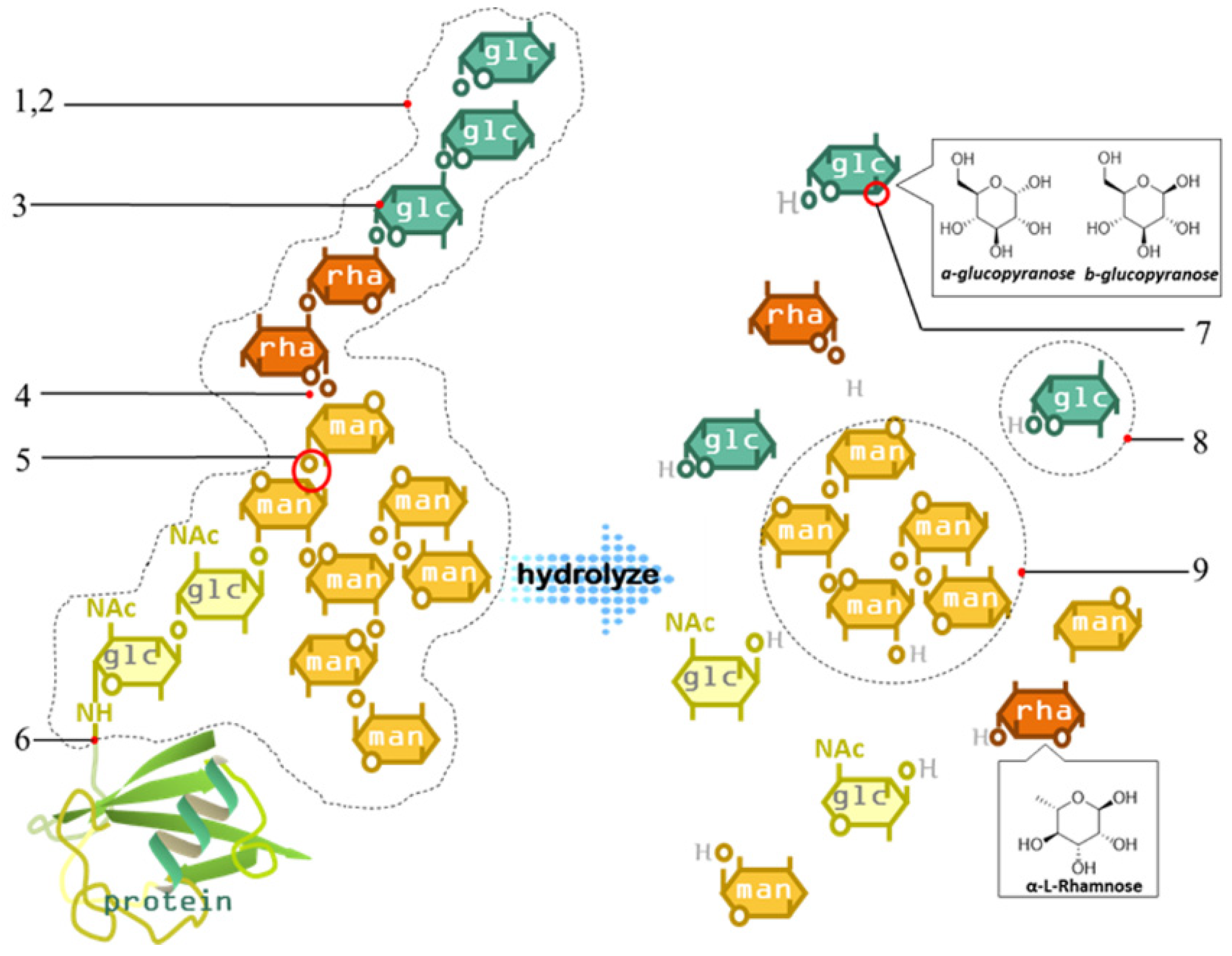 Molecules 24 03122 g005