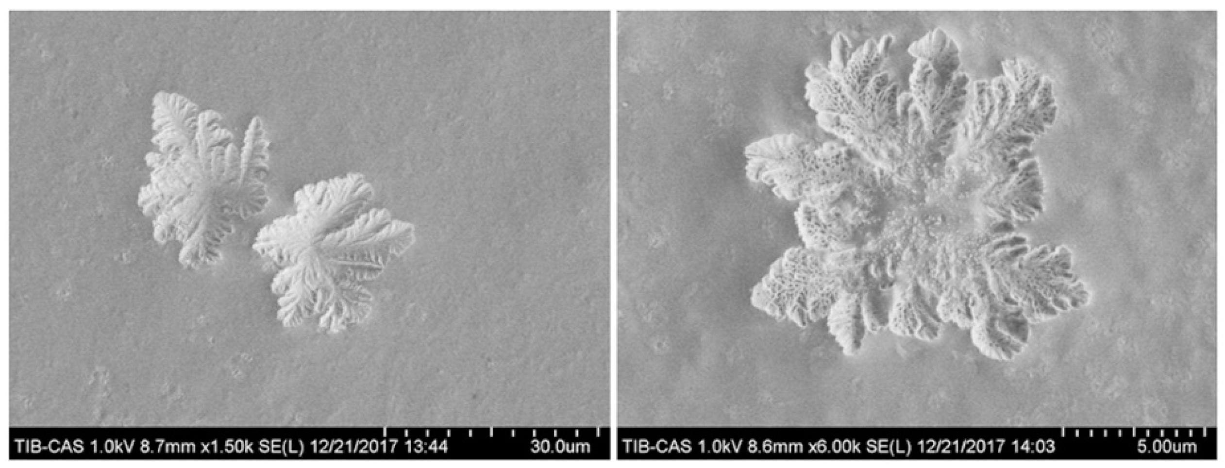 Molecules 24 03122 g006