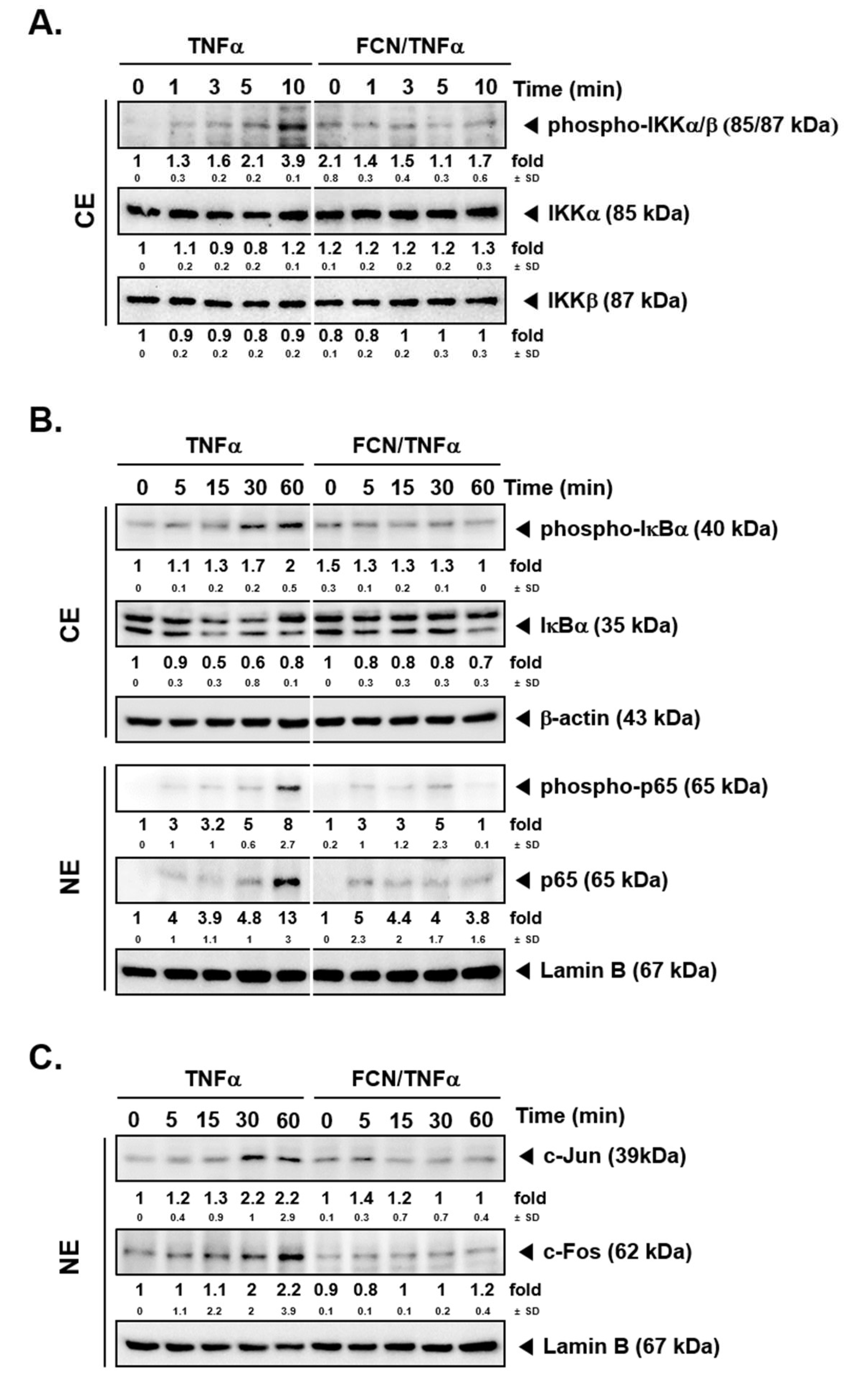 Molecules 24 03127 g002 Molecules 24 03127 g002