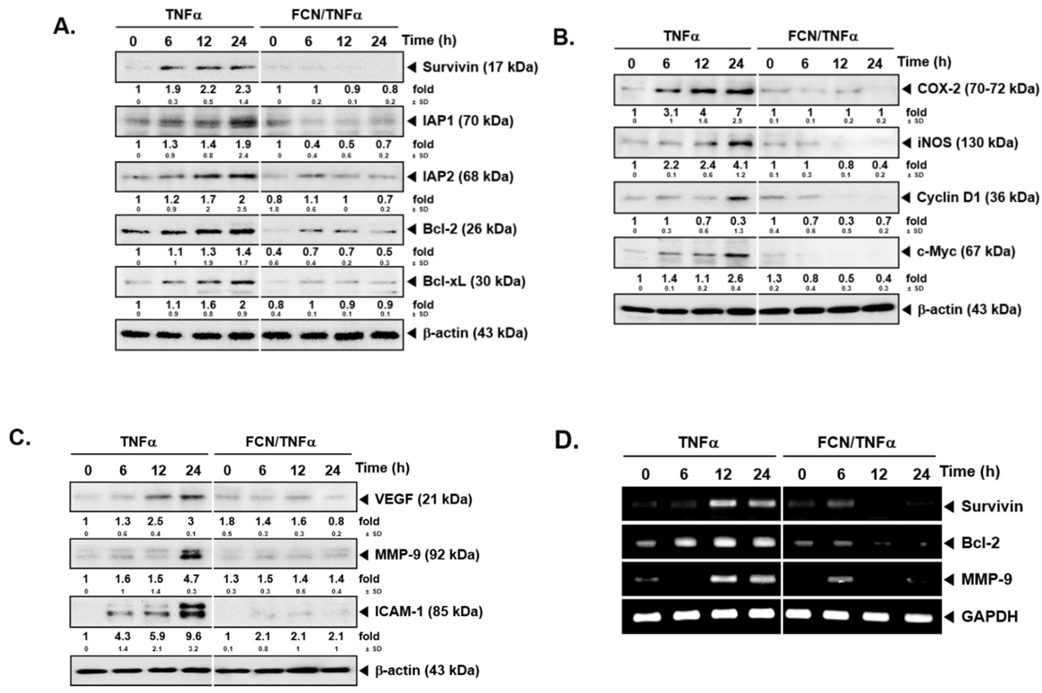 Molecules 24 03127 g003 Molecules 24 03127 g003