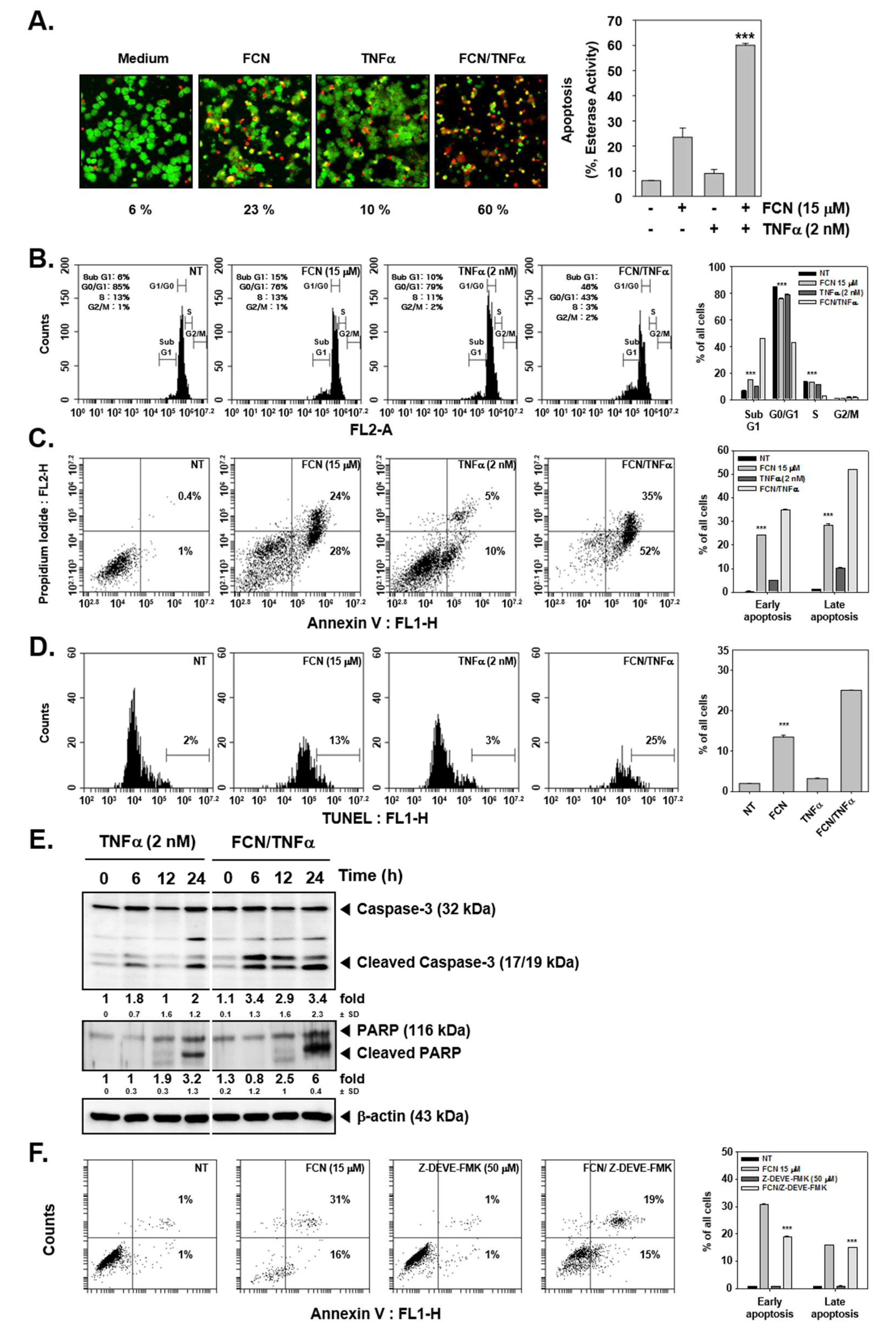 Molecules 24 03127 g004 Molecules 24 03127 g004